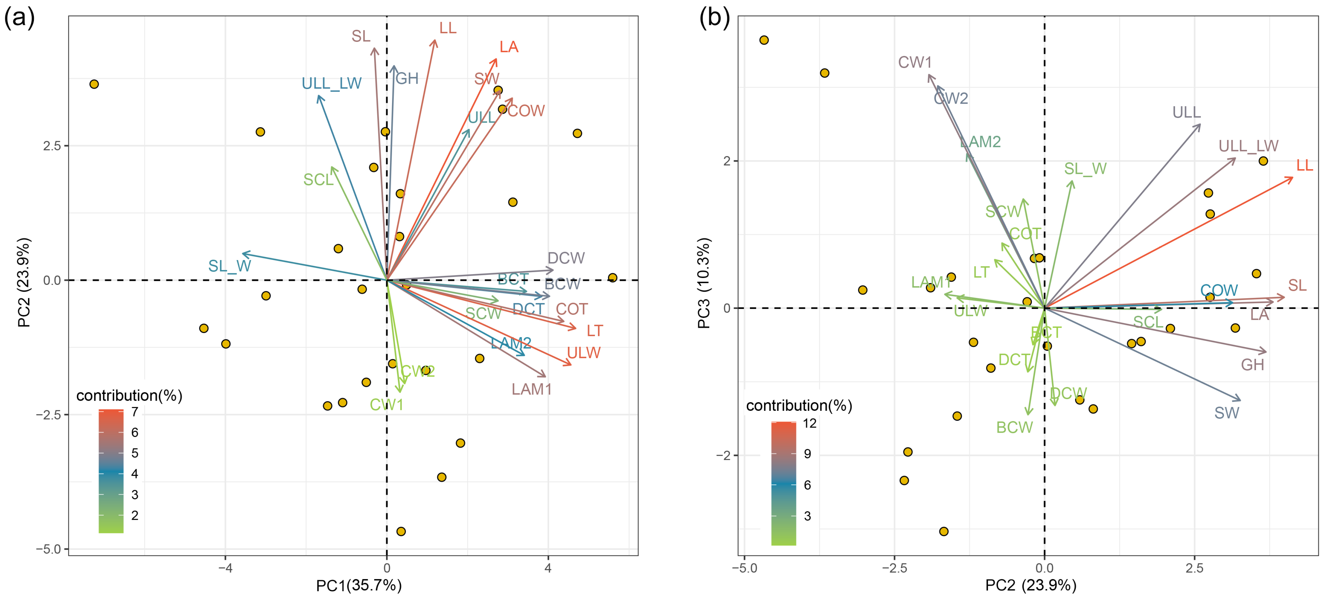 Plants 13 00921 g005