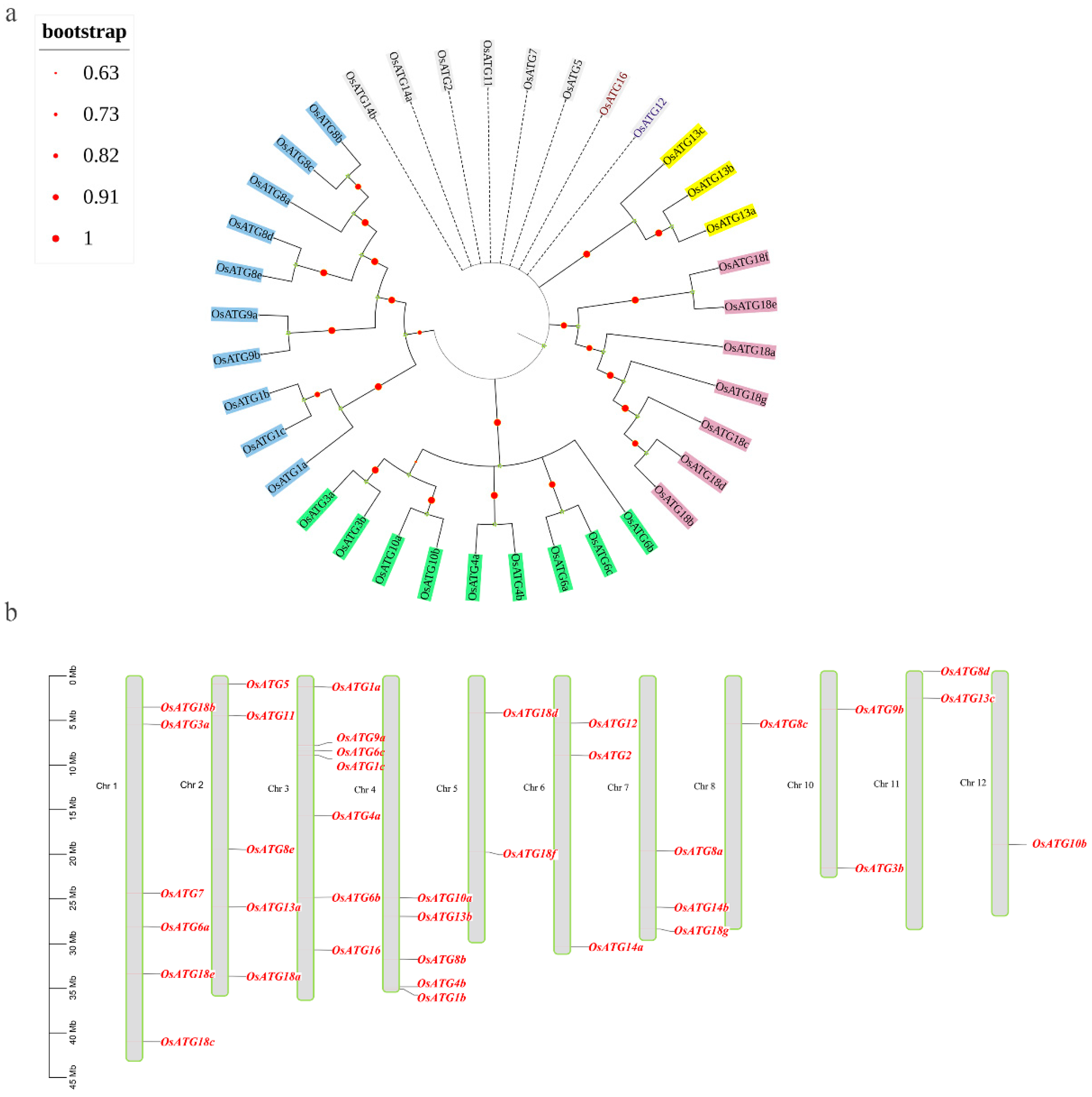 Plants 13 00927 g001