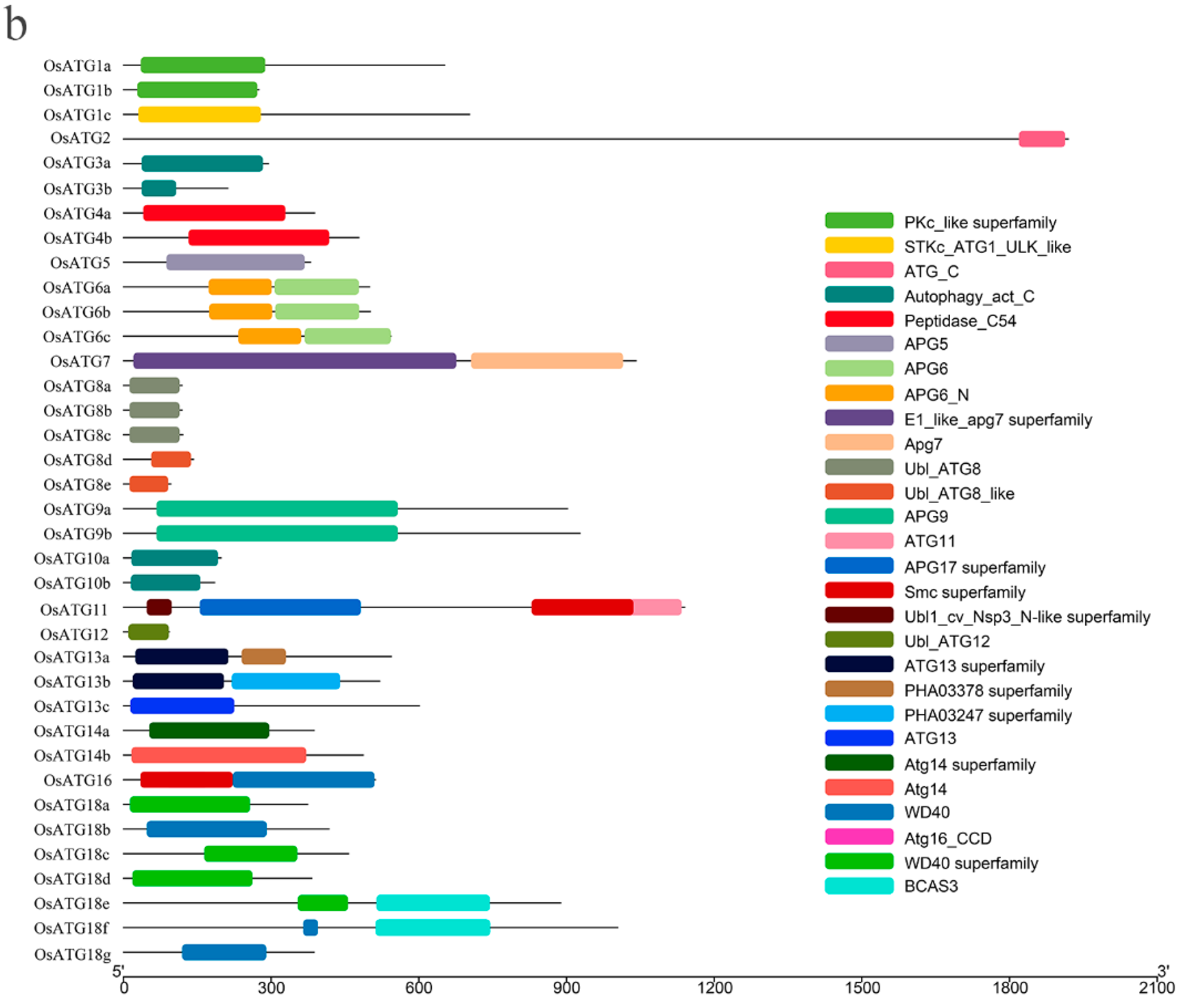Plants 13 00927 g002b