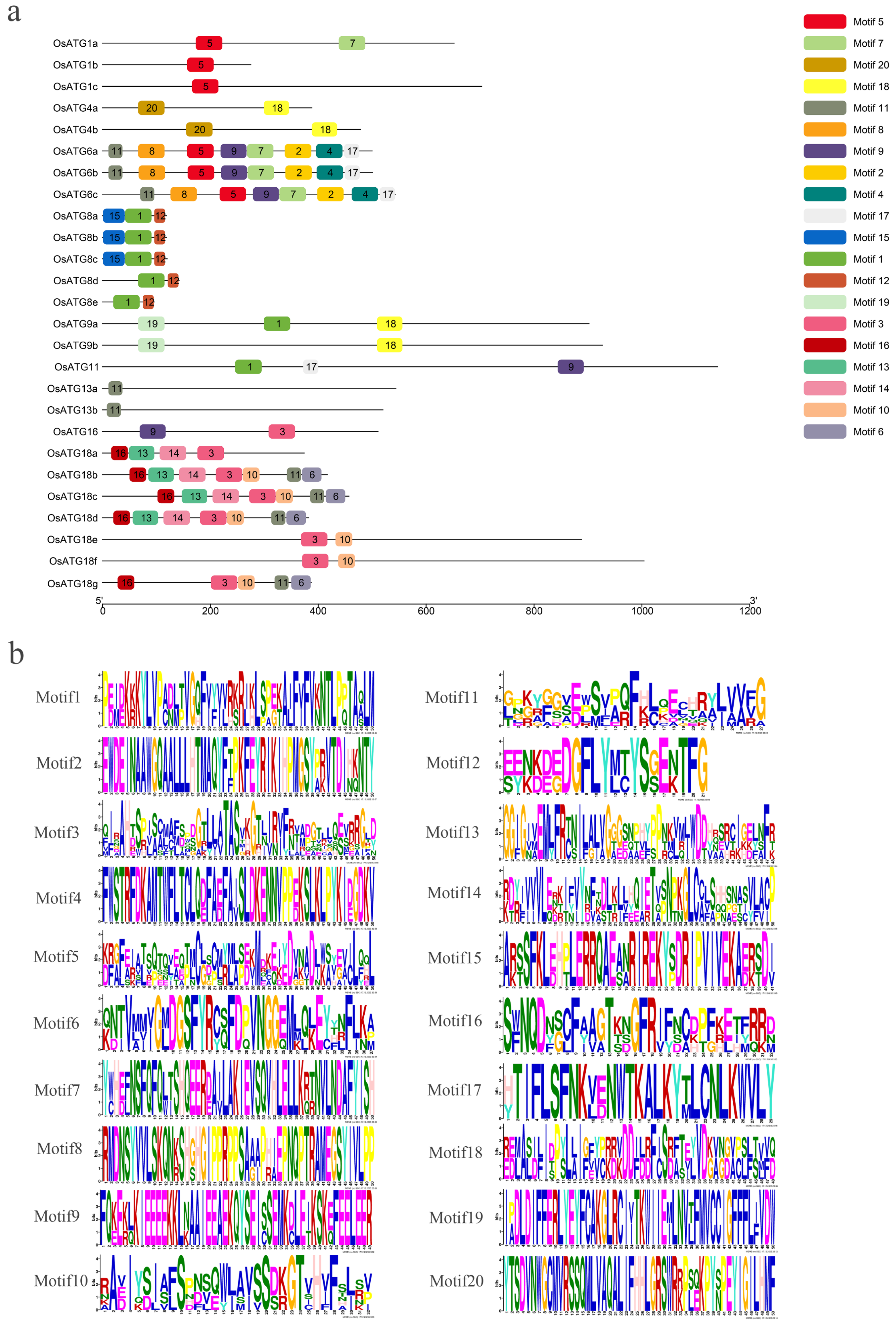 Plants 13 00927 g003