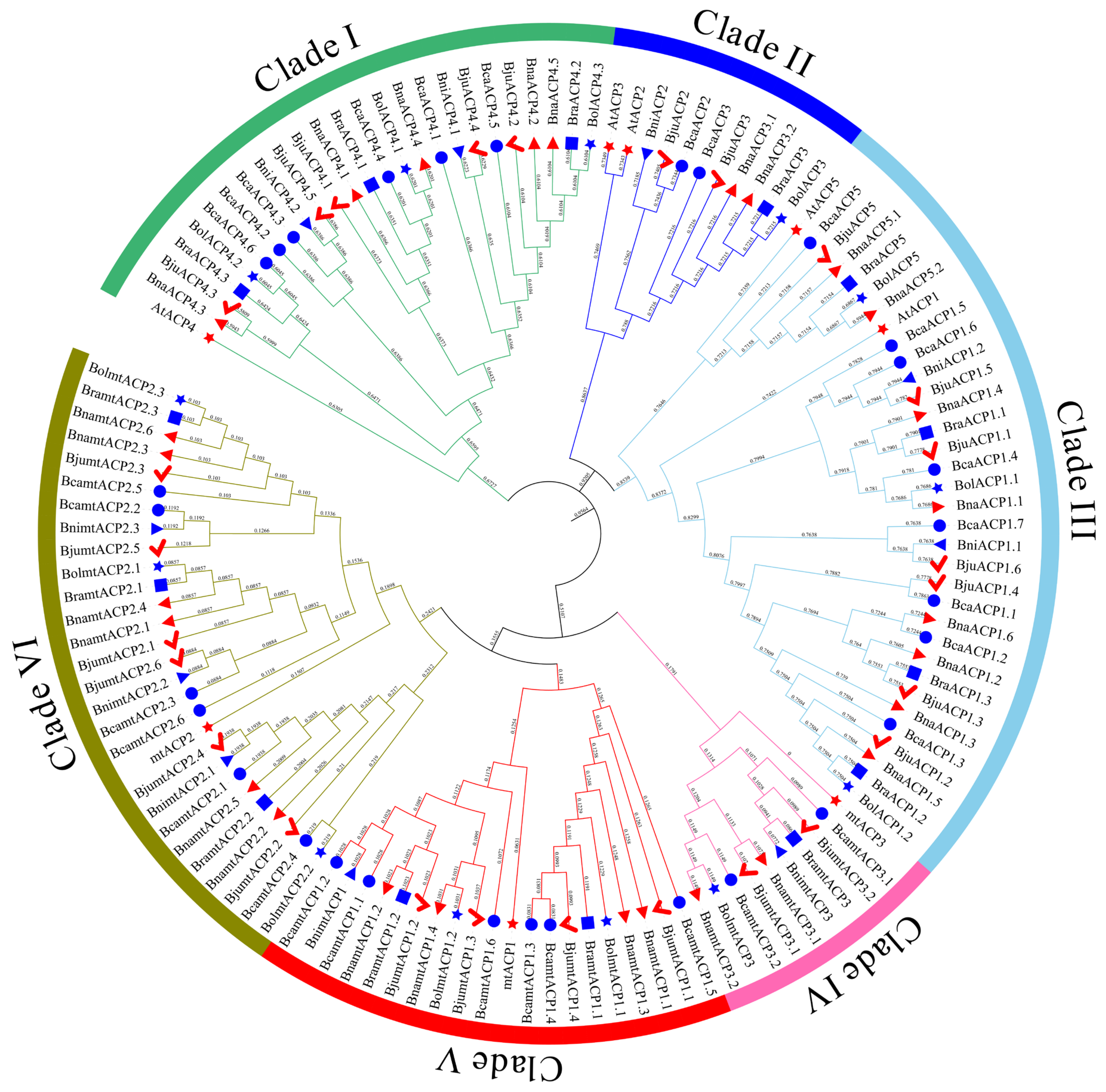 Plants 13 00950 g002