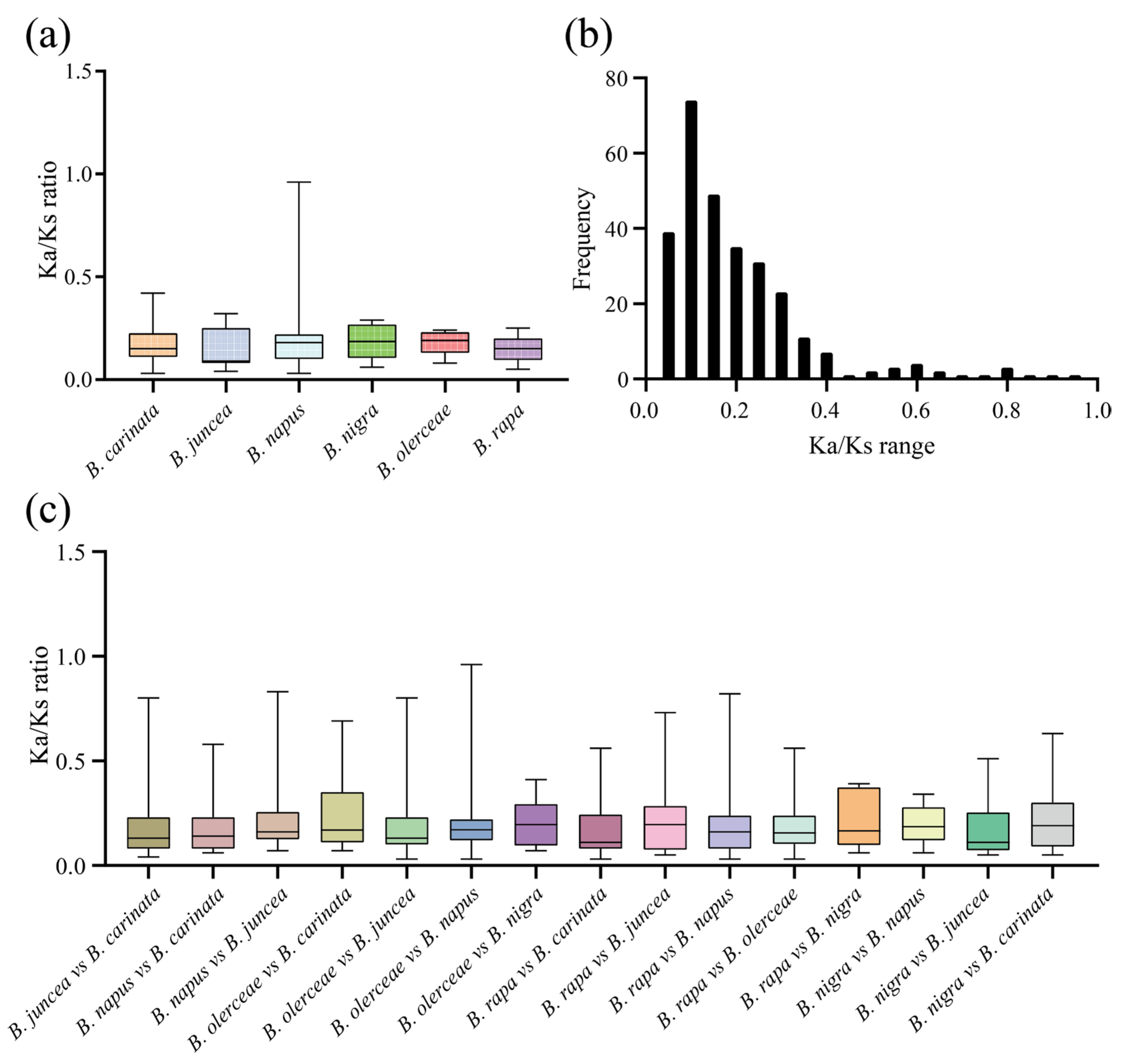 Plants 13 00950 g007
