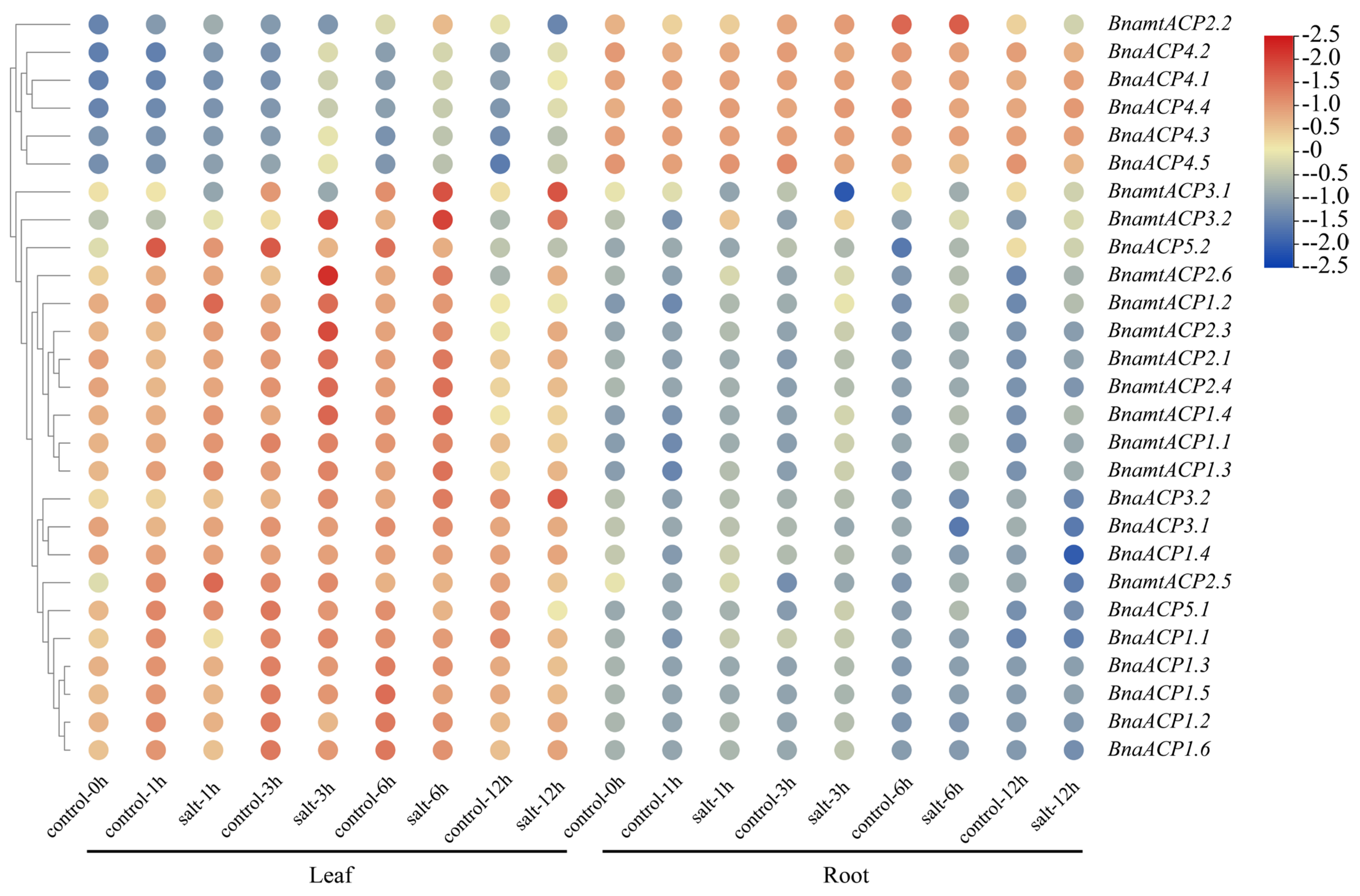 Plants 13 00950 g008