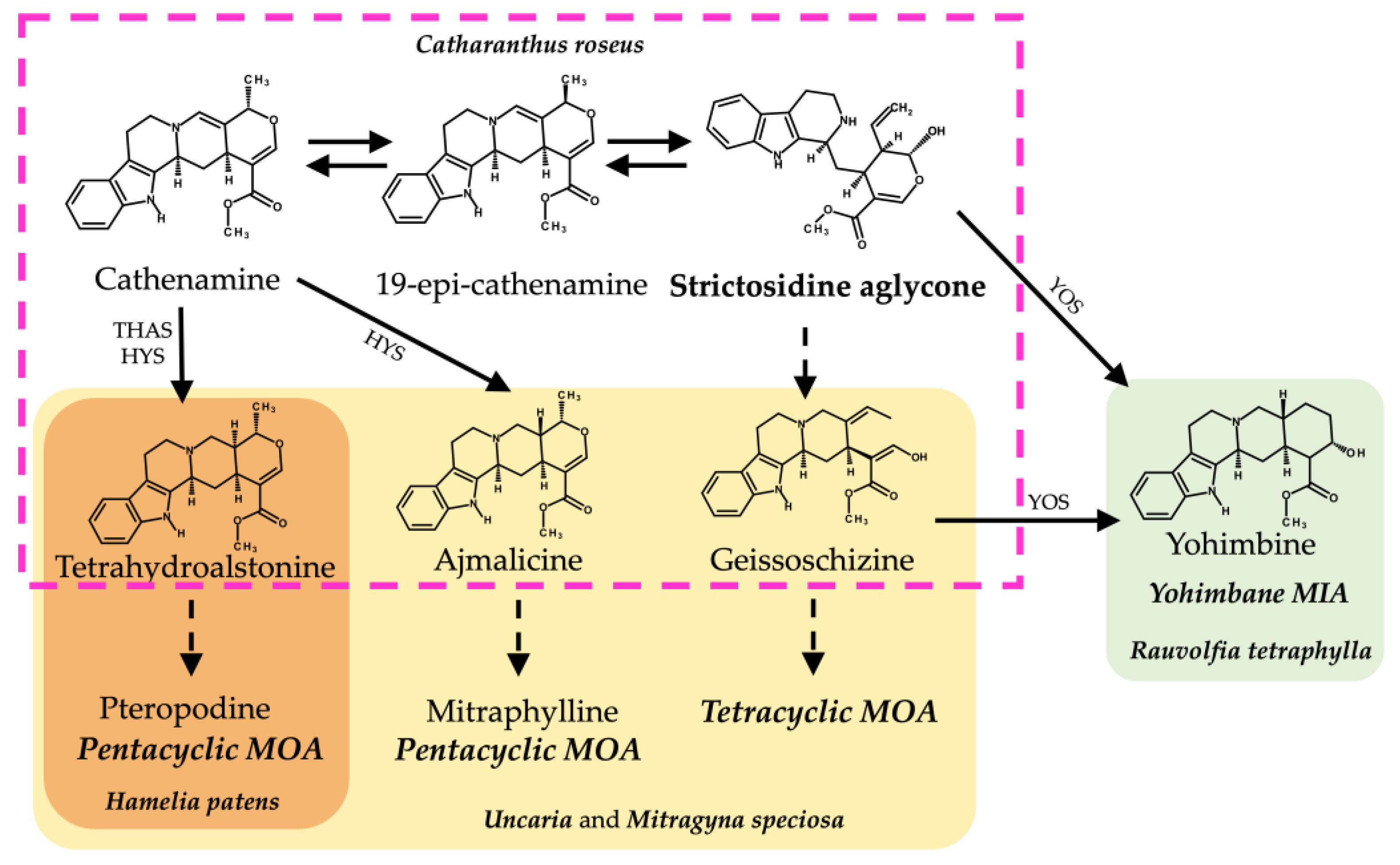 Plants 13 00966 g003