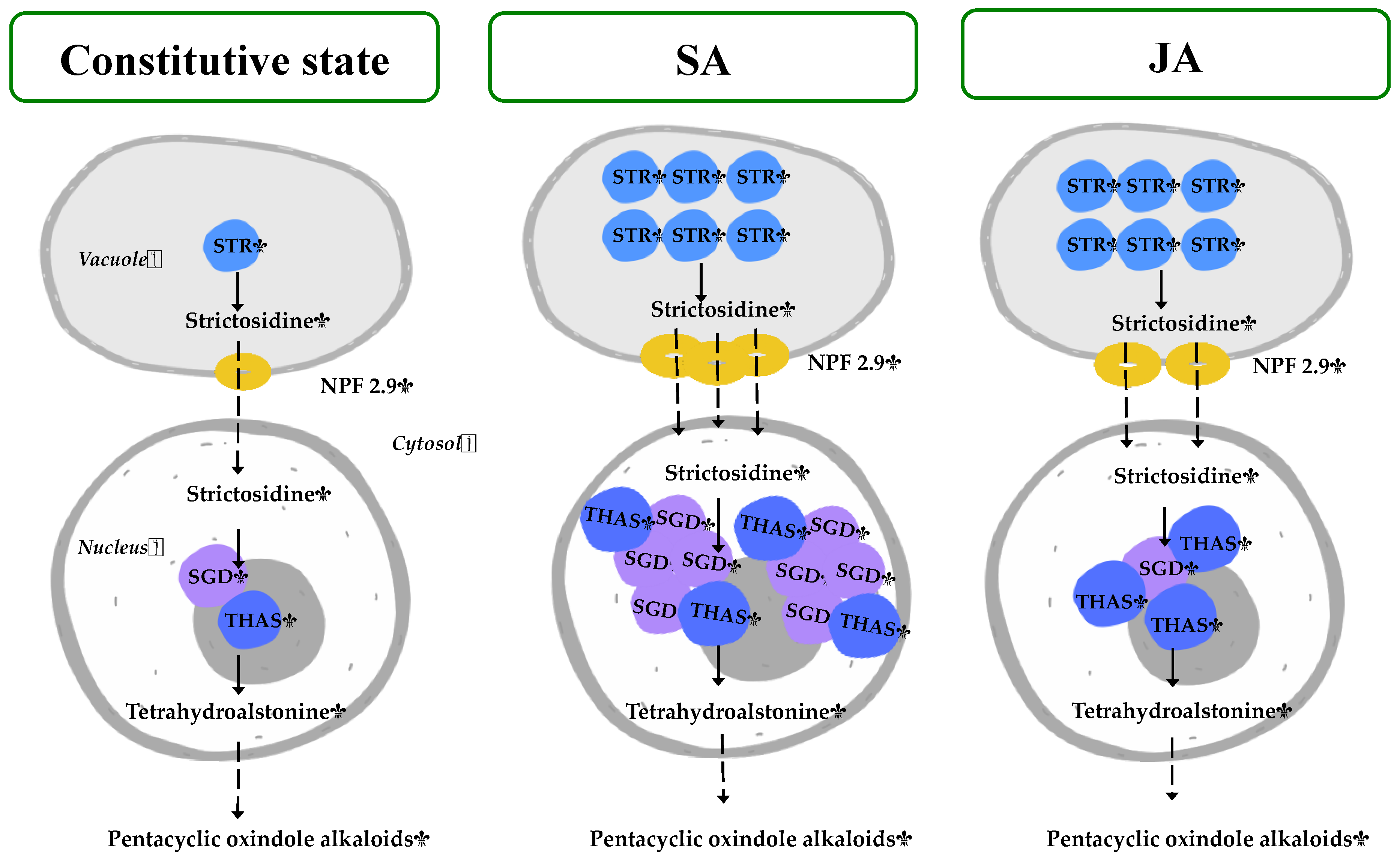 Plants 13 00966 g008