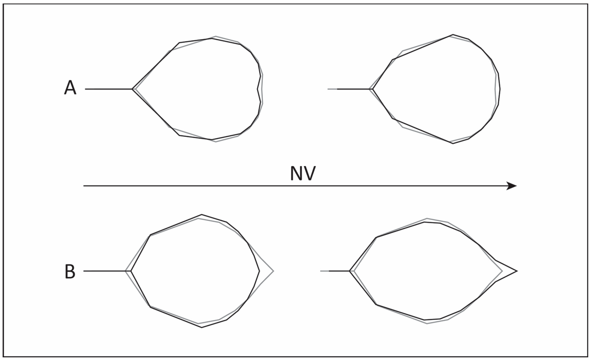 Plants 13 00993 g003