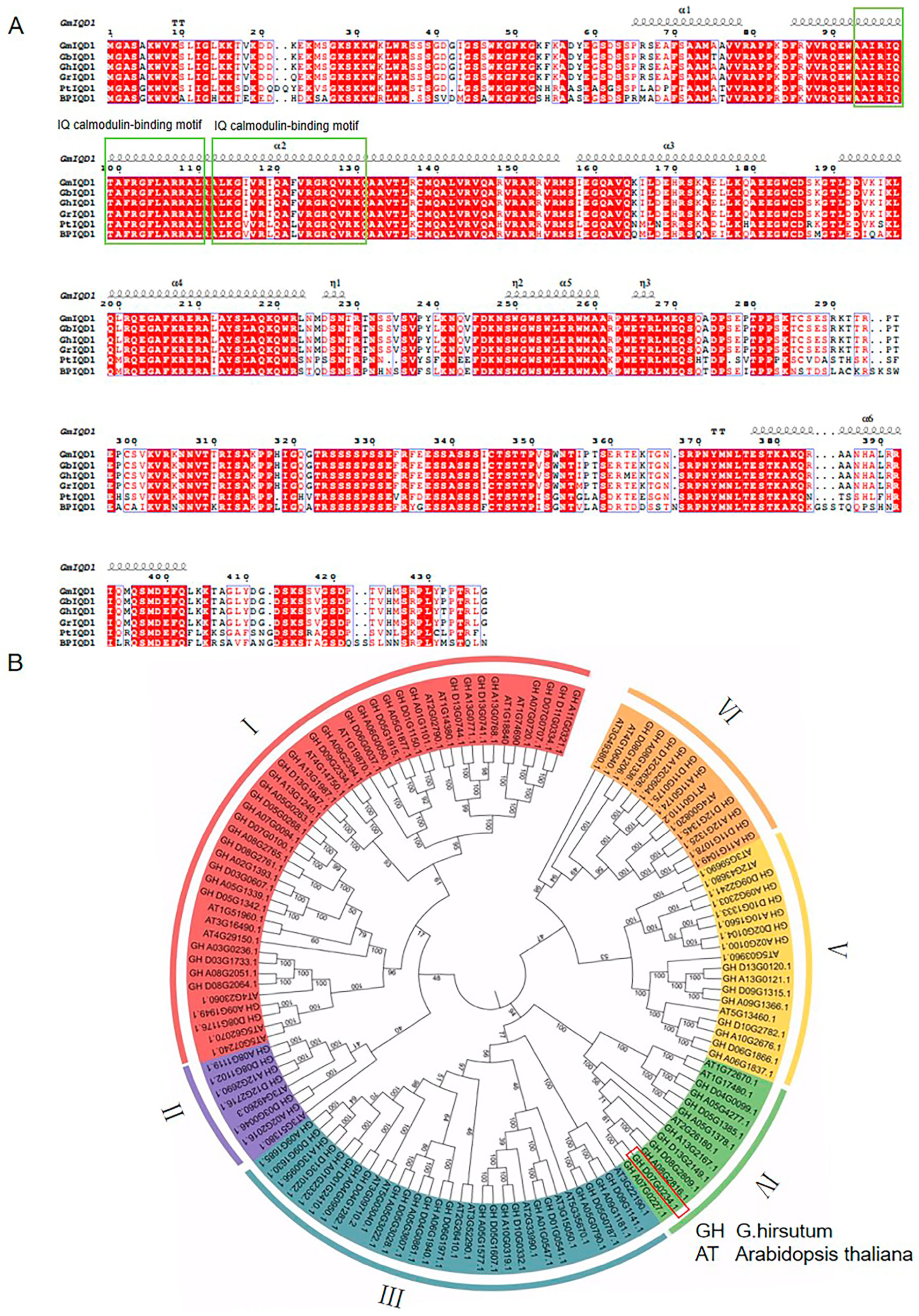 Plants 13 01005 g001