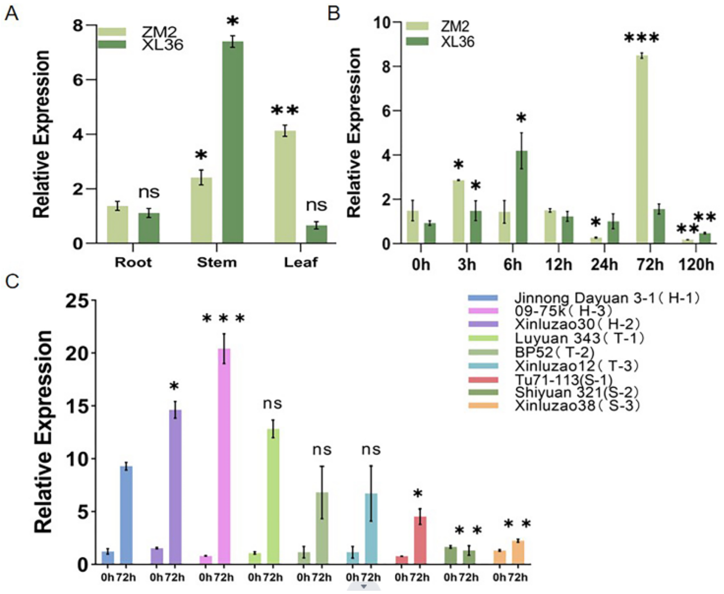 Plants 13 01005 g002