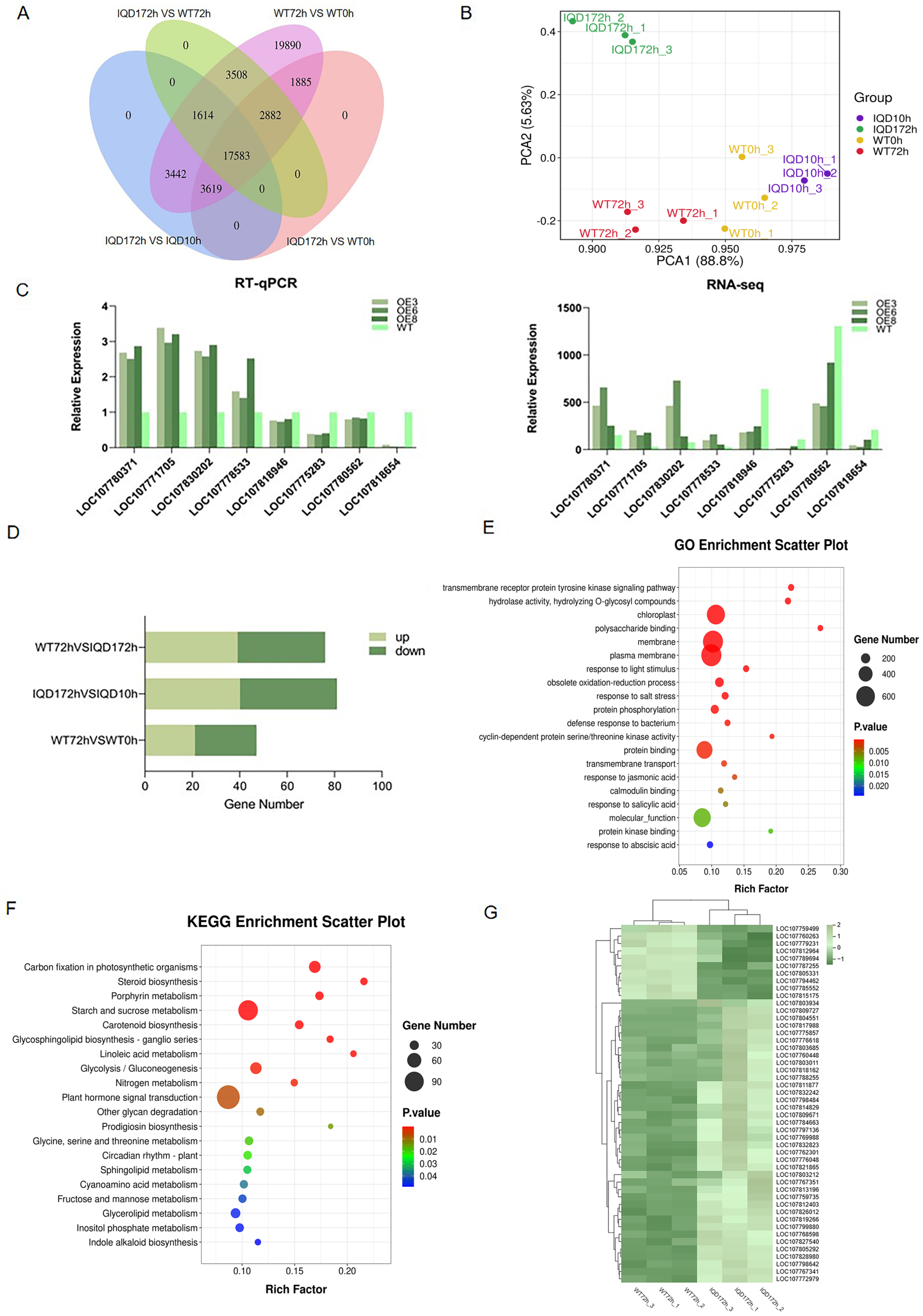 Plants 13 01005 g005