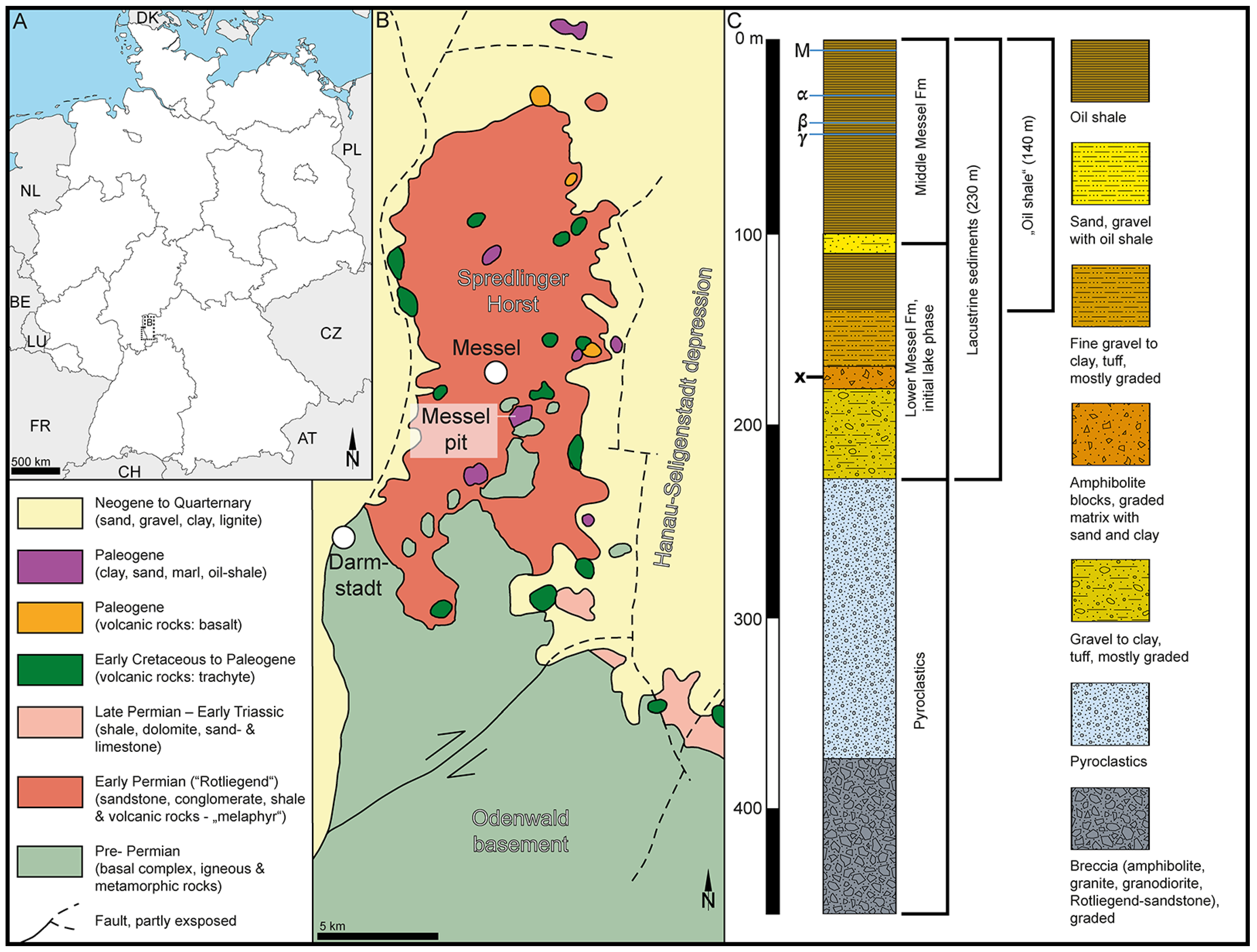 Plants 13 01008 g001
