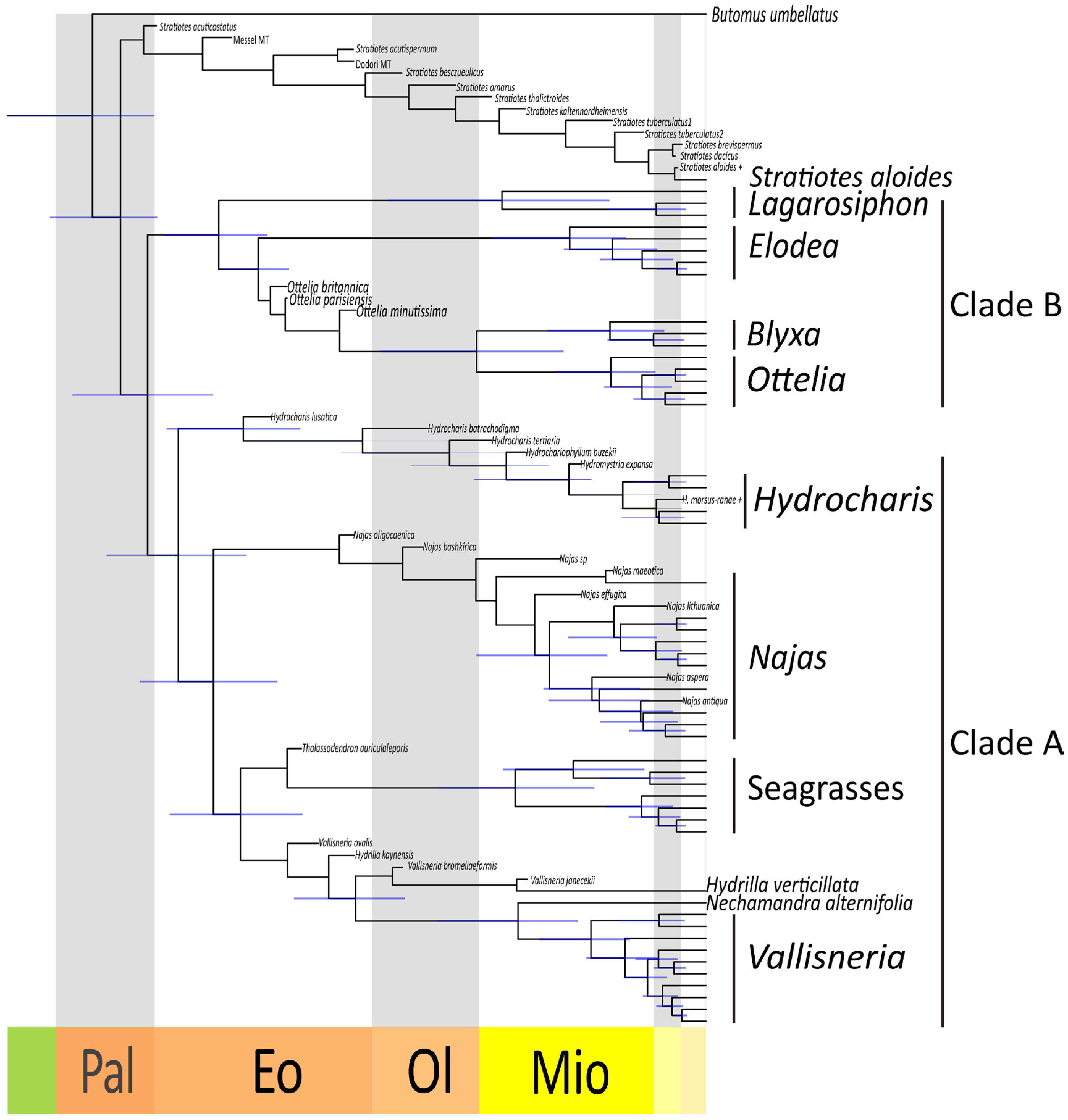 Plants 13 01008 g007