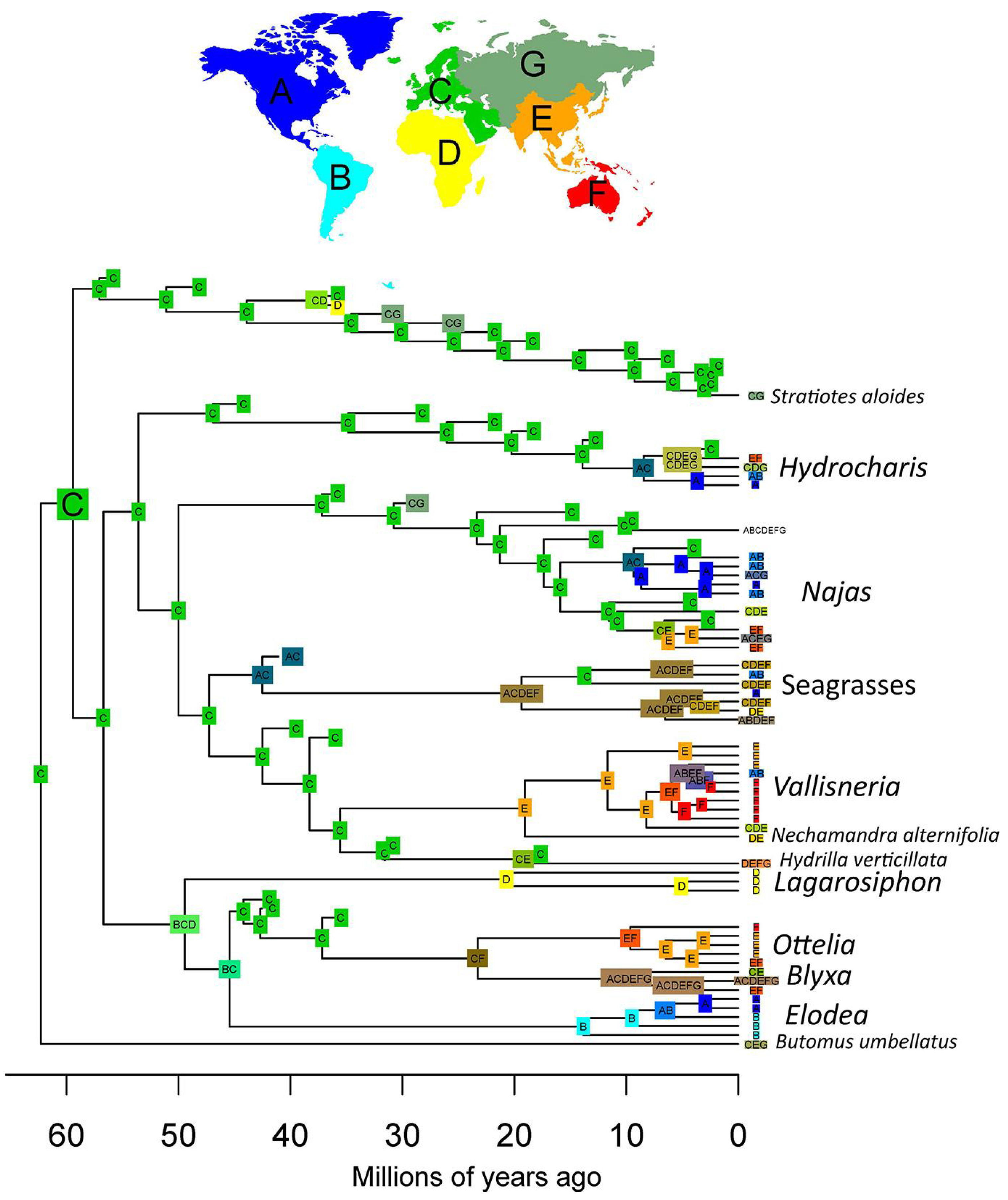 Plants 13 01008 g008
