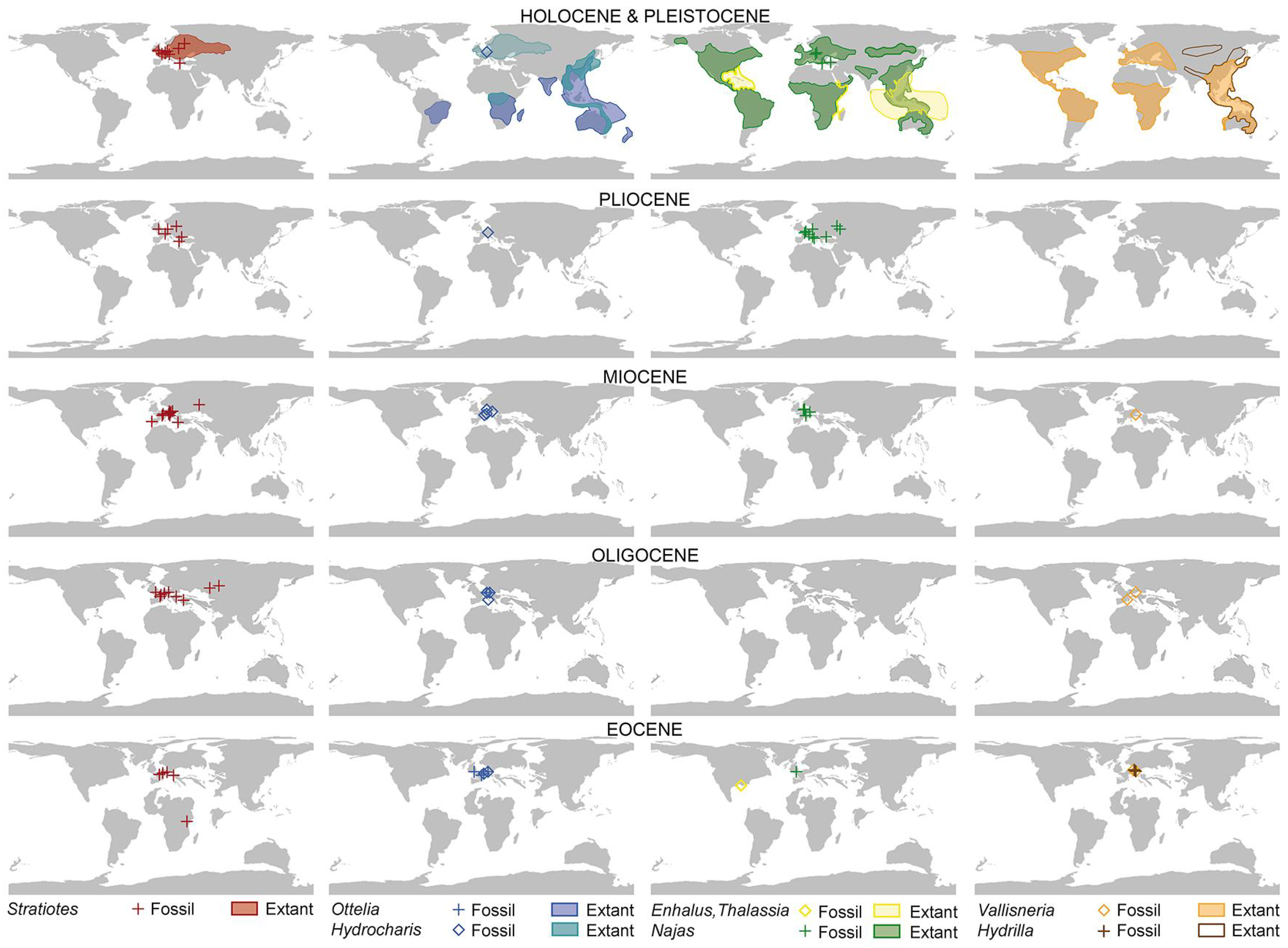 Plants 13 01008 g010