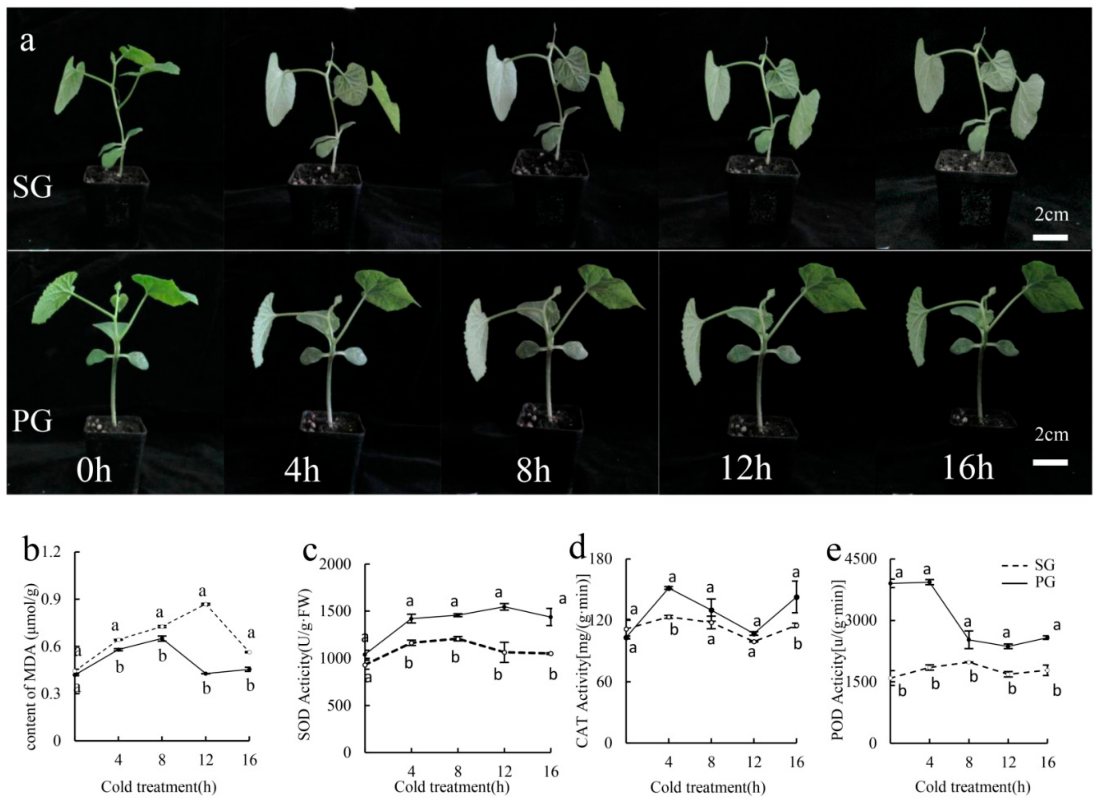 Plants 13 01016 g001 Plants 13 01016 g001