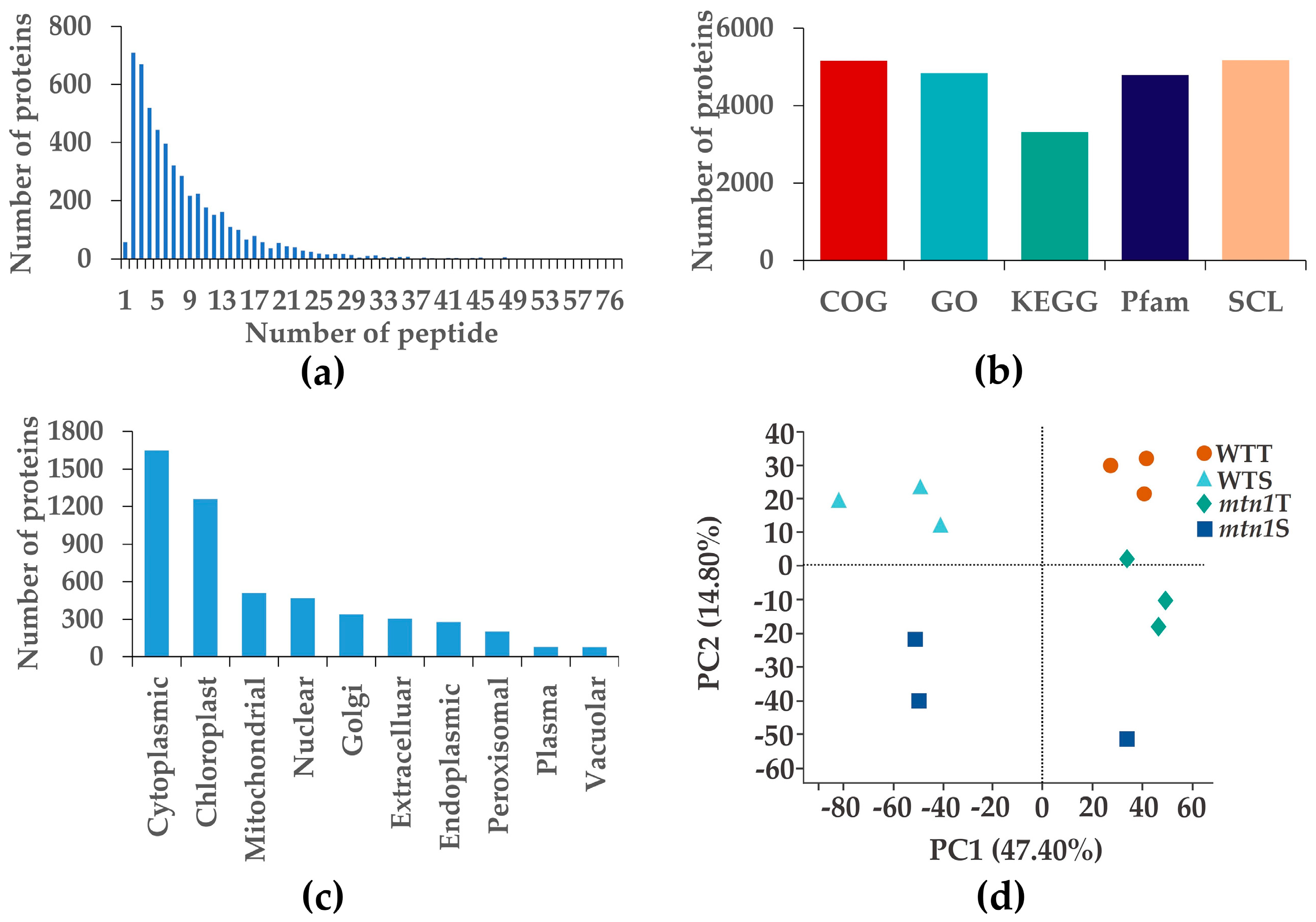 Plants 13 01028 g003 Plants 13 01028 g003
