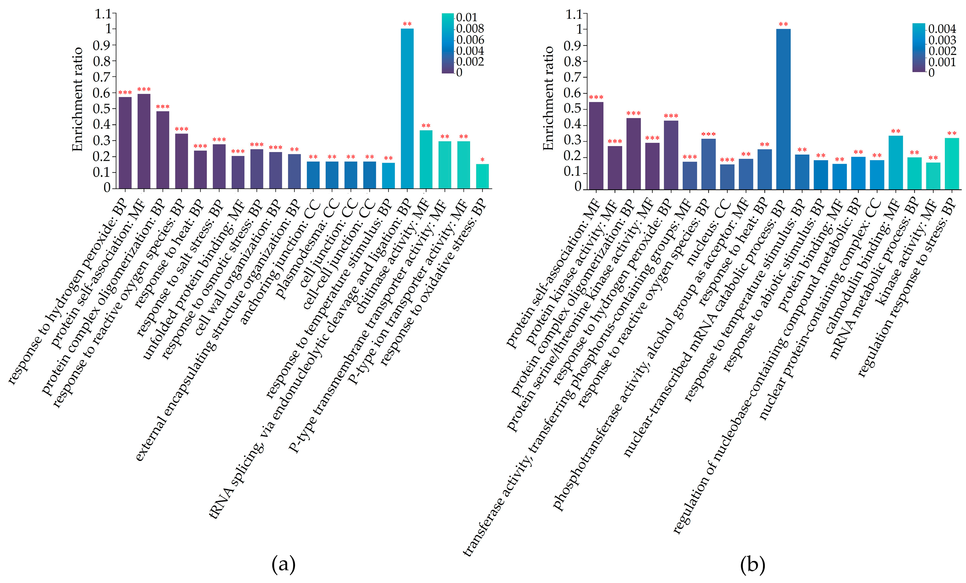 Plants 13 01028 g005 Plants 13 01028 g005