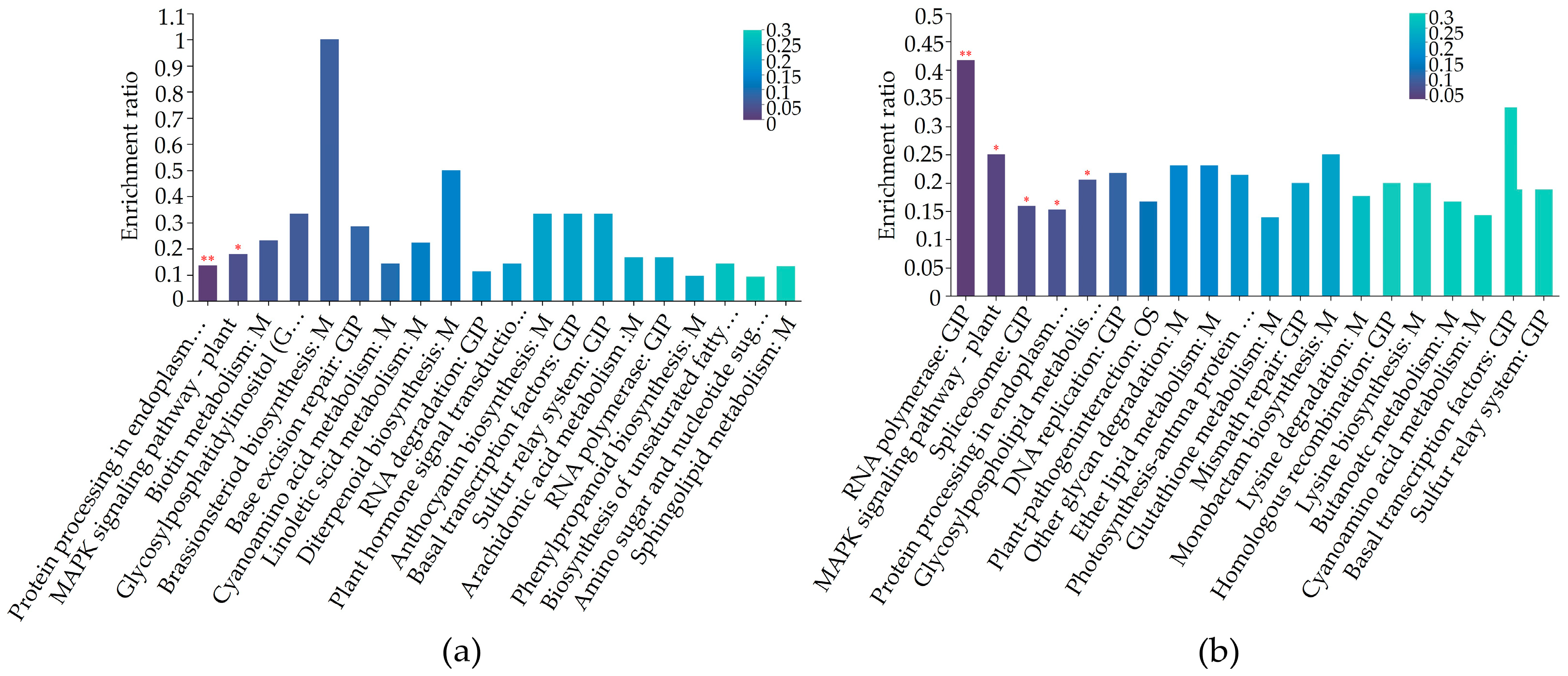 Plants 13 01028 g006 Plants 13 01028 g006