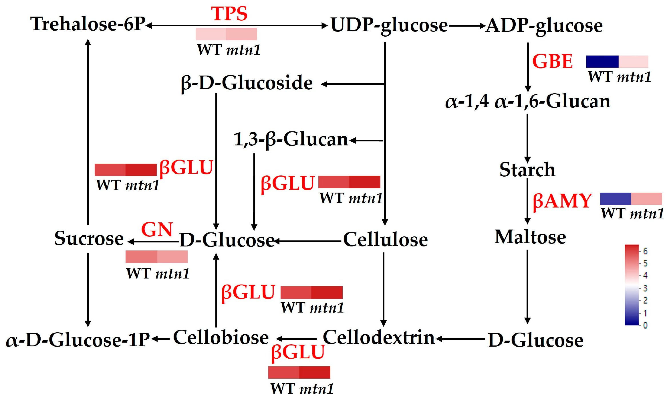 Plants 13 01028 g008 Plants 13 01028 g008