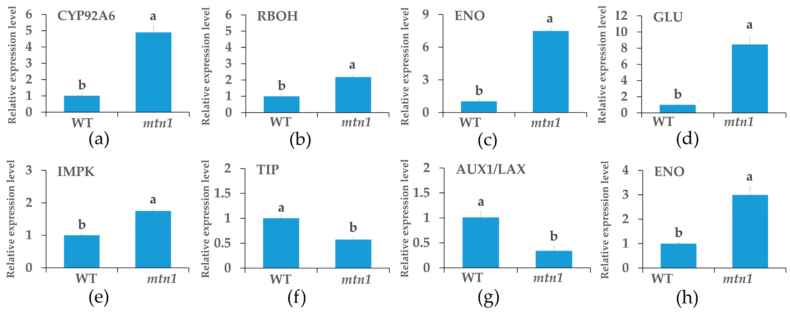 Plants 13 01028 g009 Plants 13 01028 g009