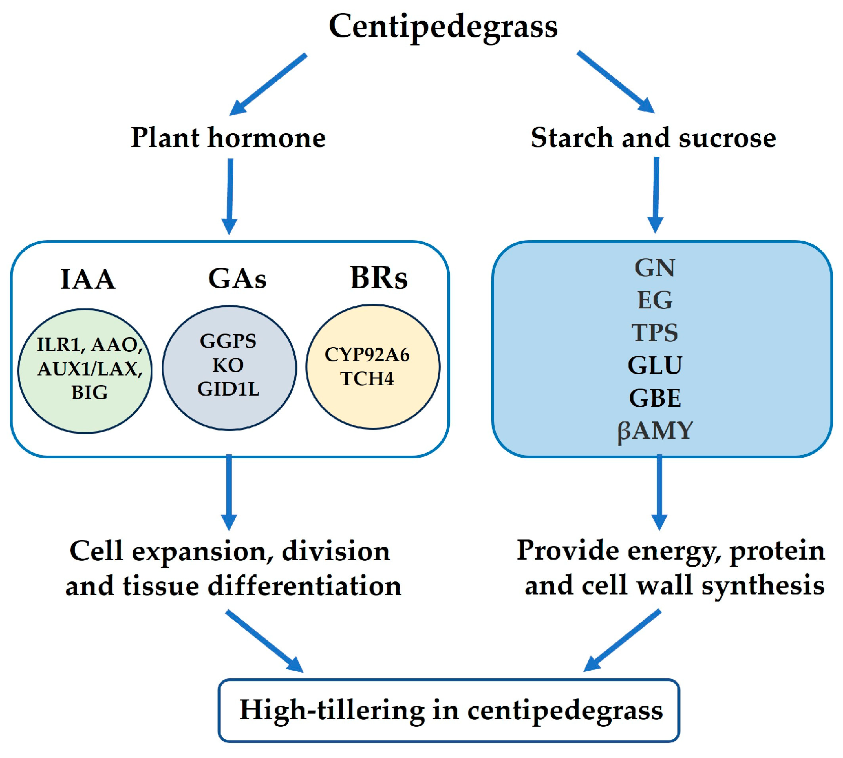 Plants 13 01028 g010 Plants 13 01028 g010