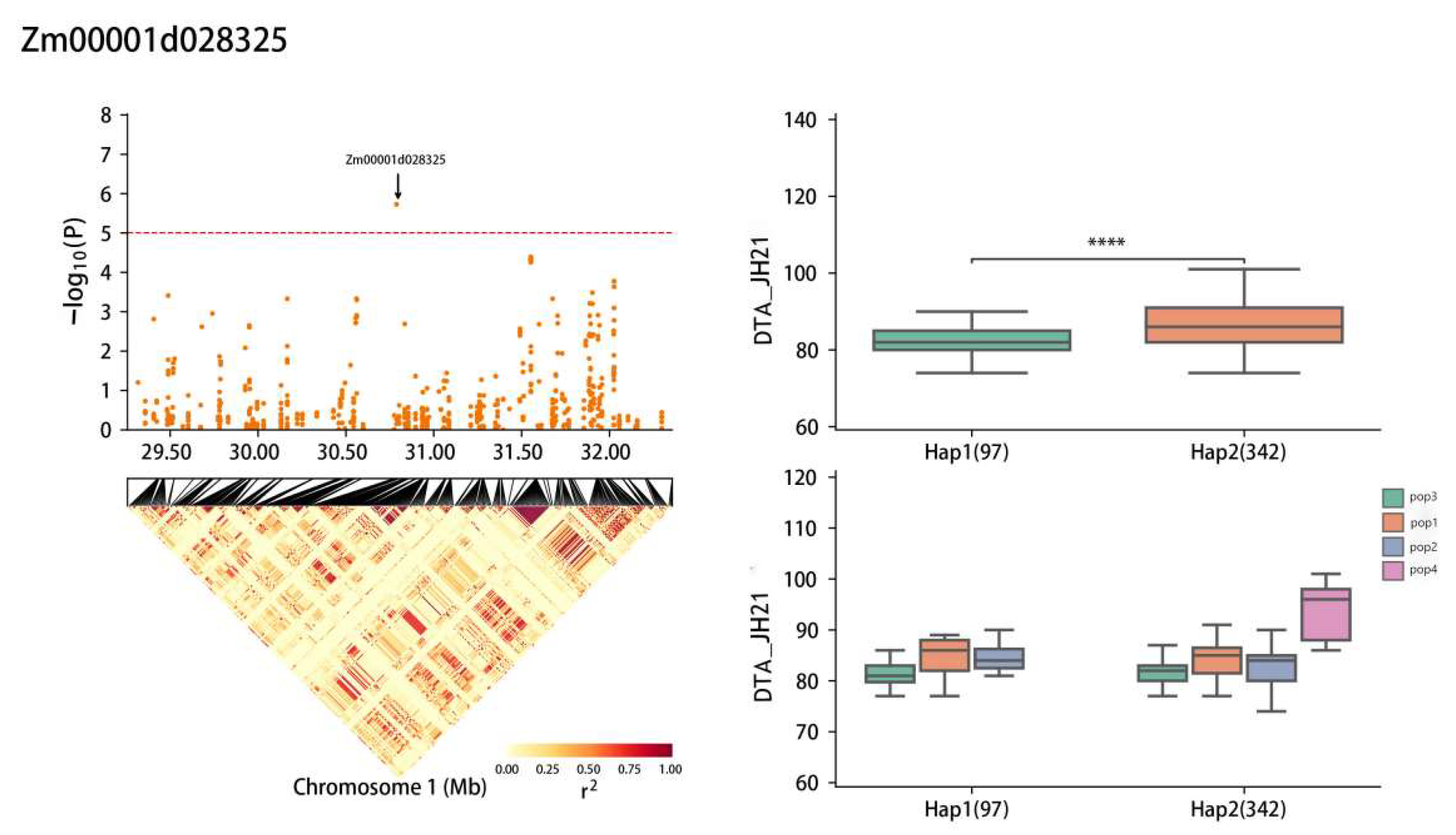 Plants 13 01032 g007