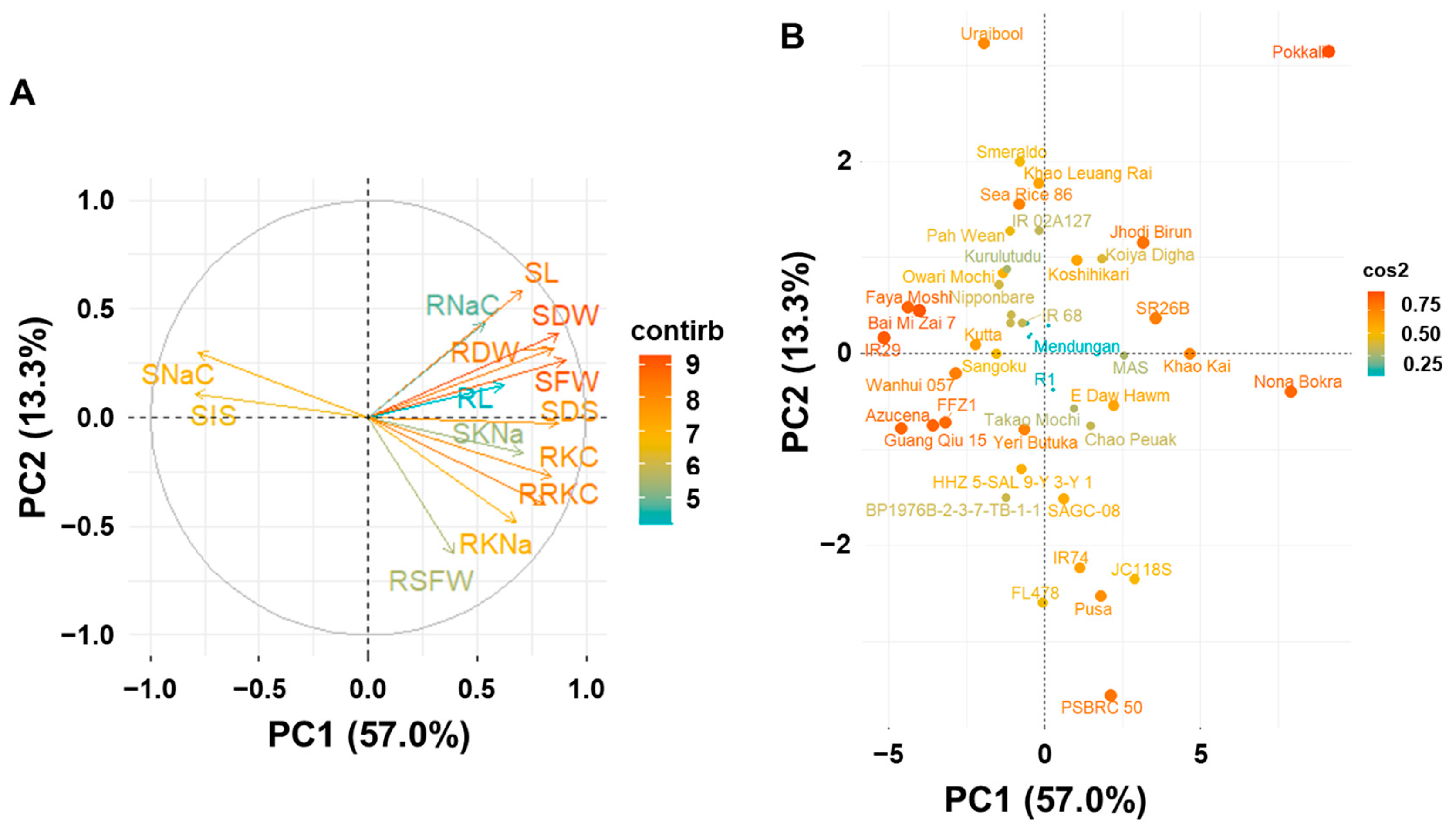Plants 13 01036 g001