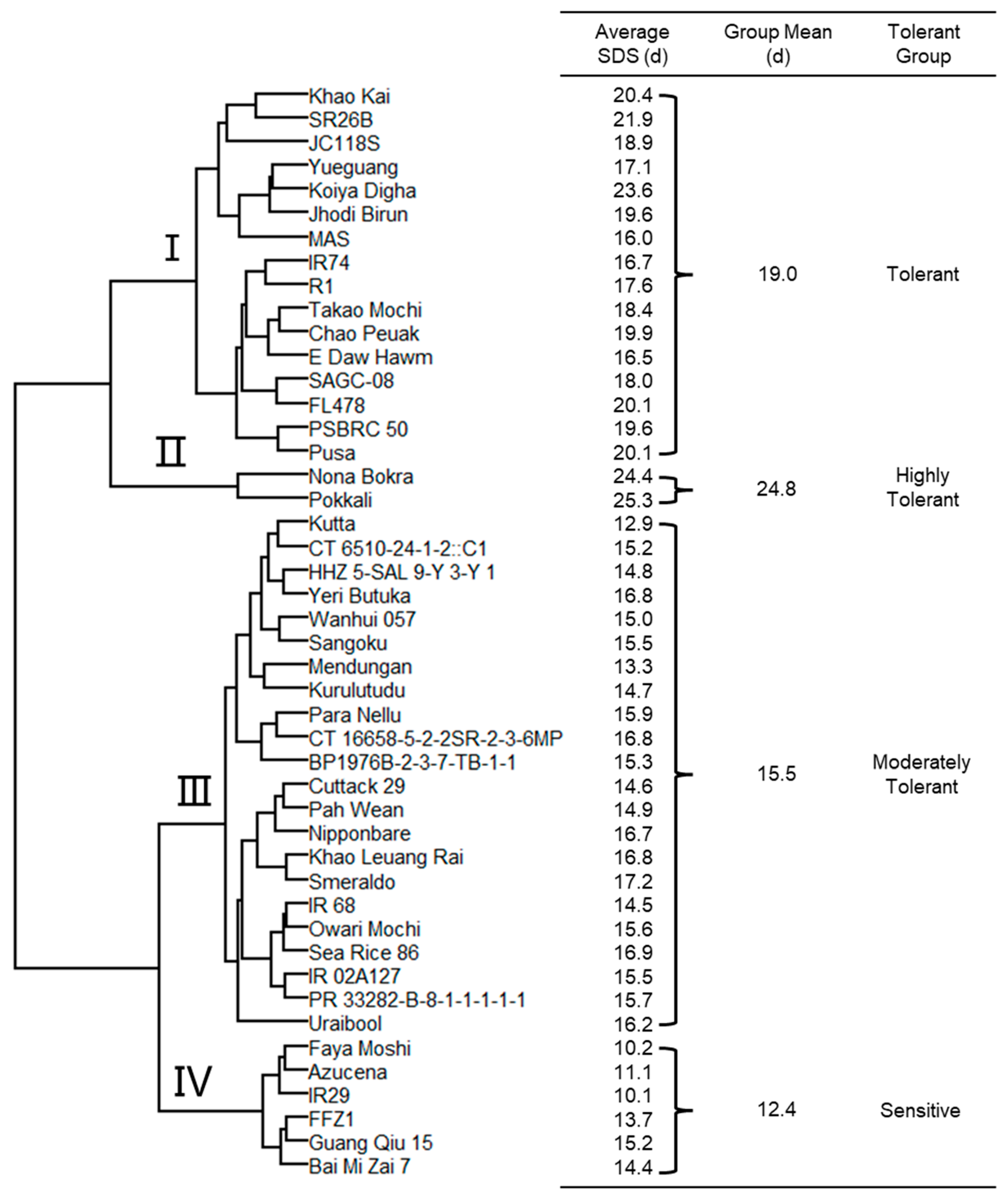 Plants 13 01036 g002
