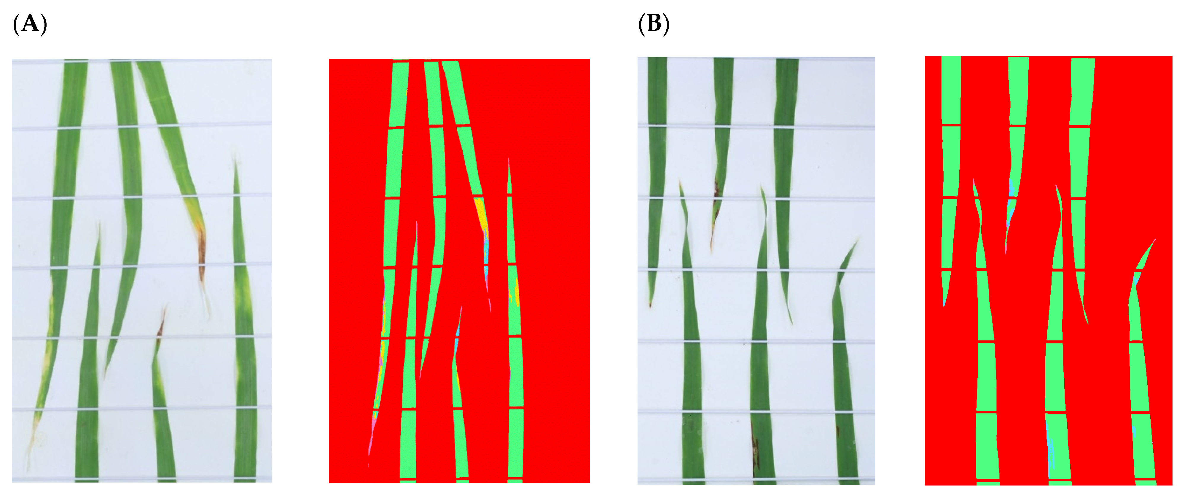 Plants 13 01039 g003 Plants 13 01039 g003