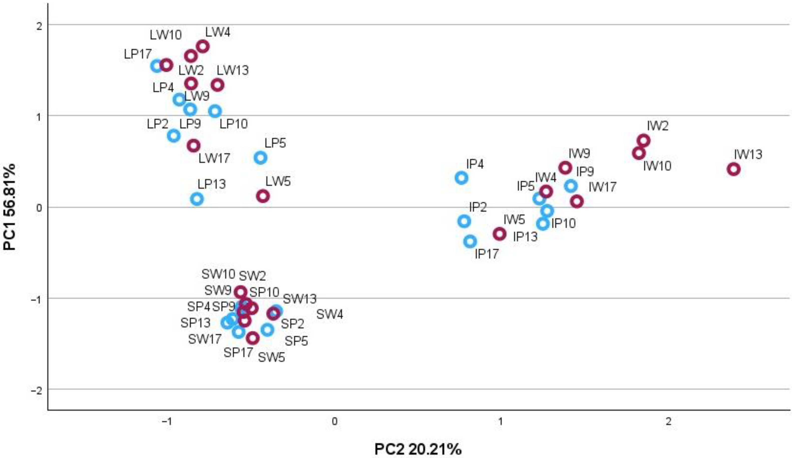 Plants 13 01043 g001
