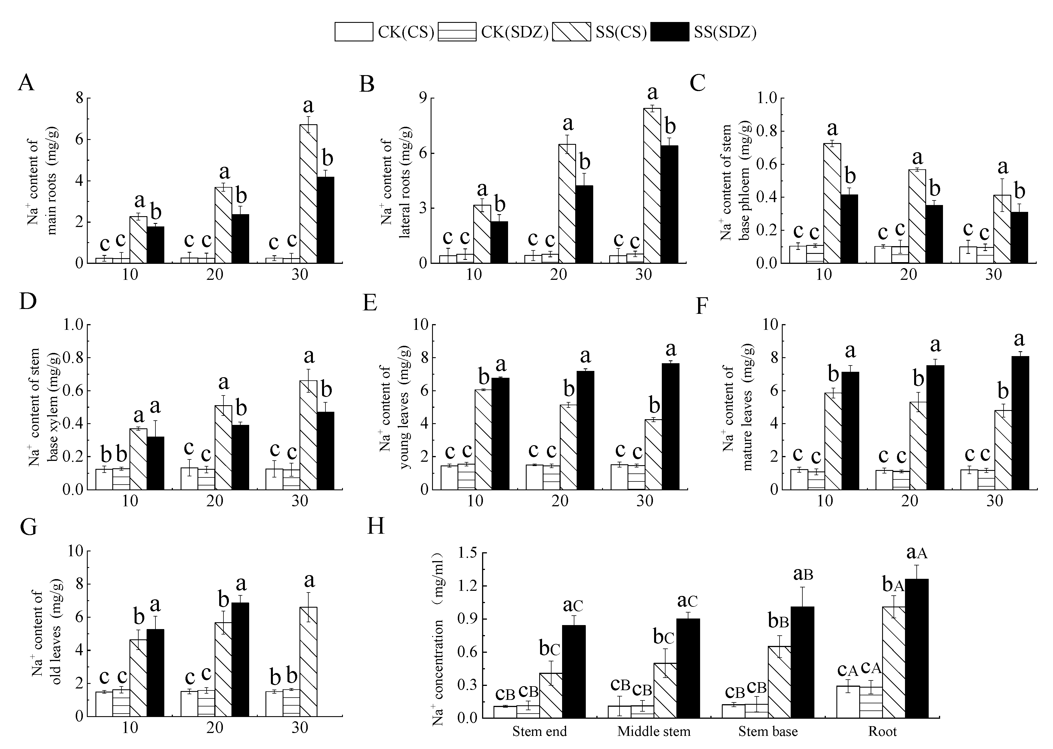 Plants 13 01046 g003