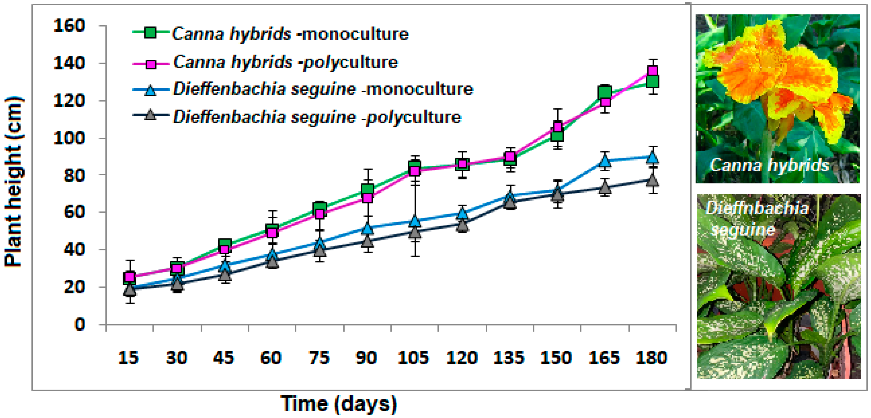 Plants 13 01051 g001 Plants 13 01051 g001