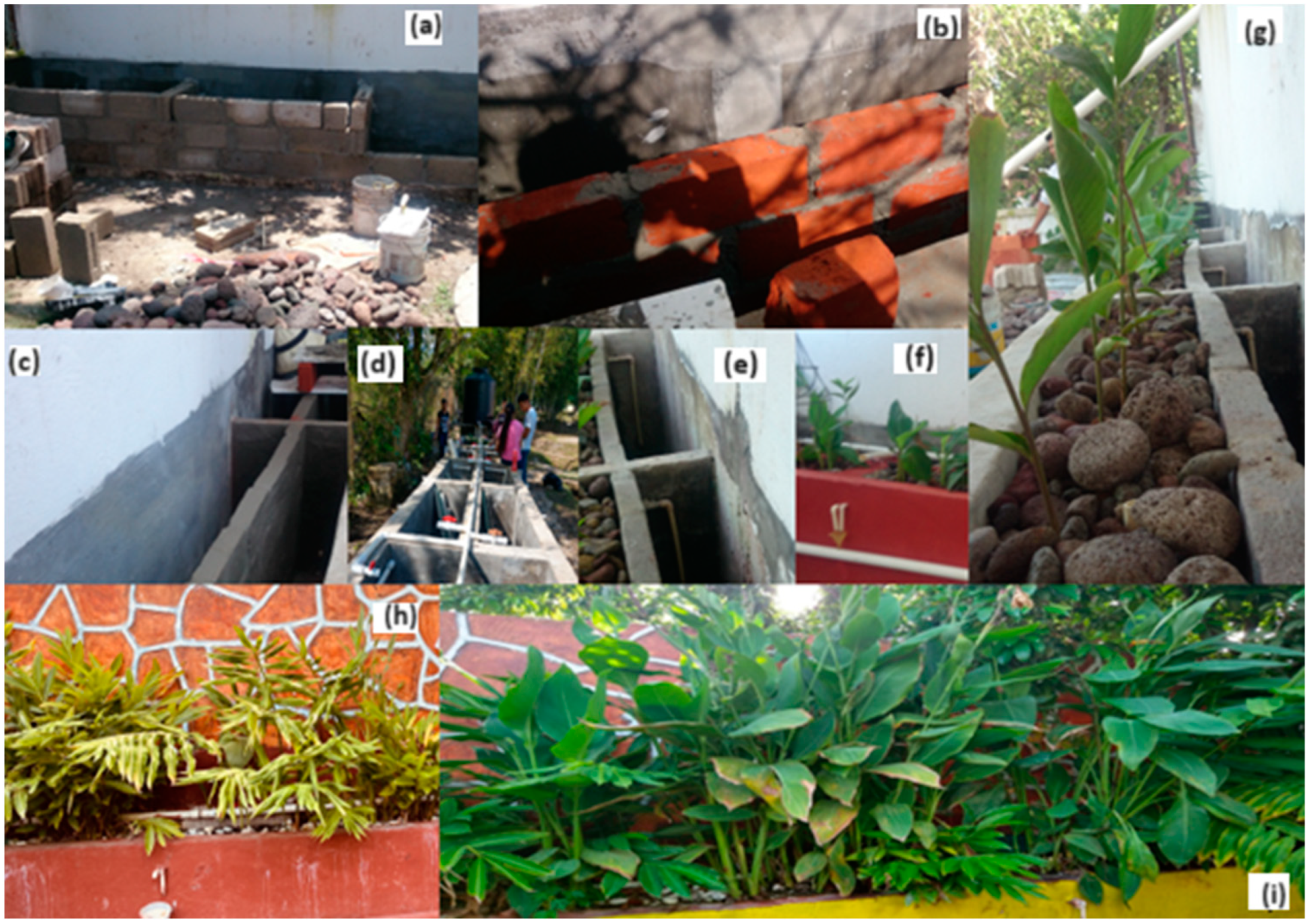 Plants 13 01051 g005 Plants 13 01051 g005