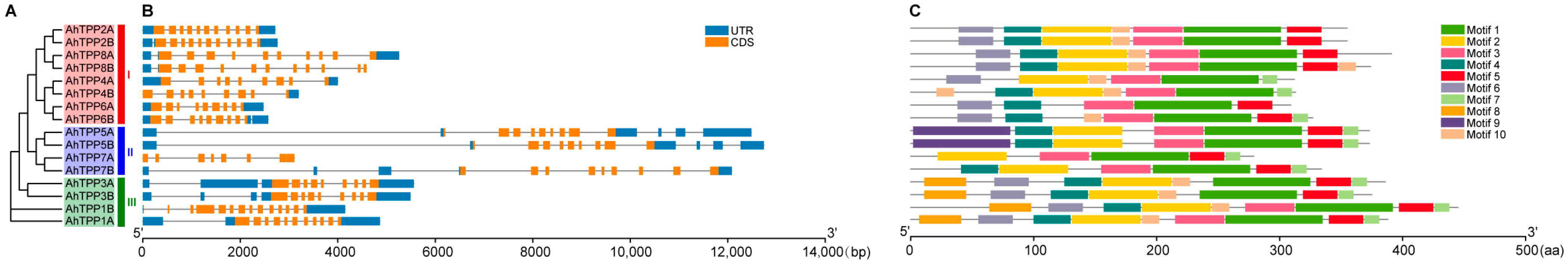 Plants 13 01056 g002