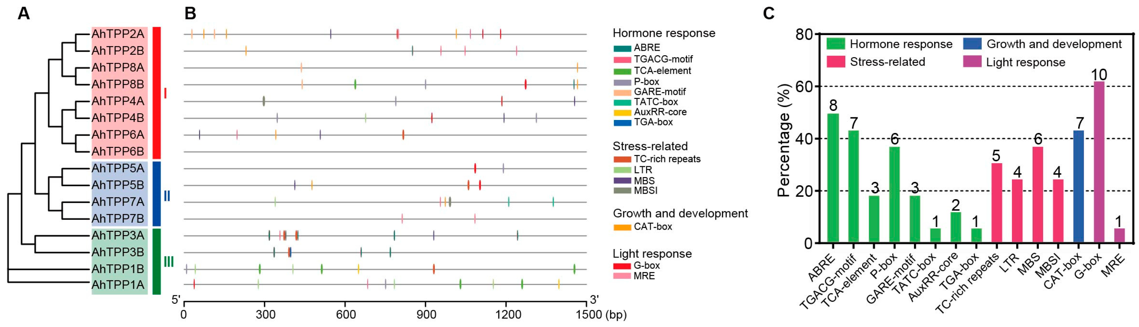 Plants 13 01056 g004