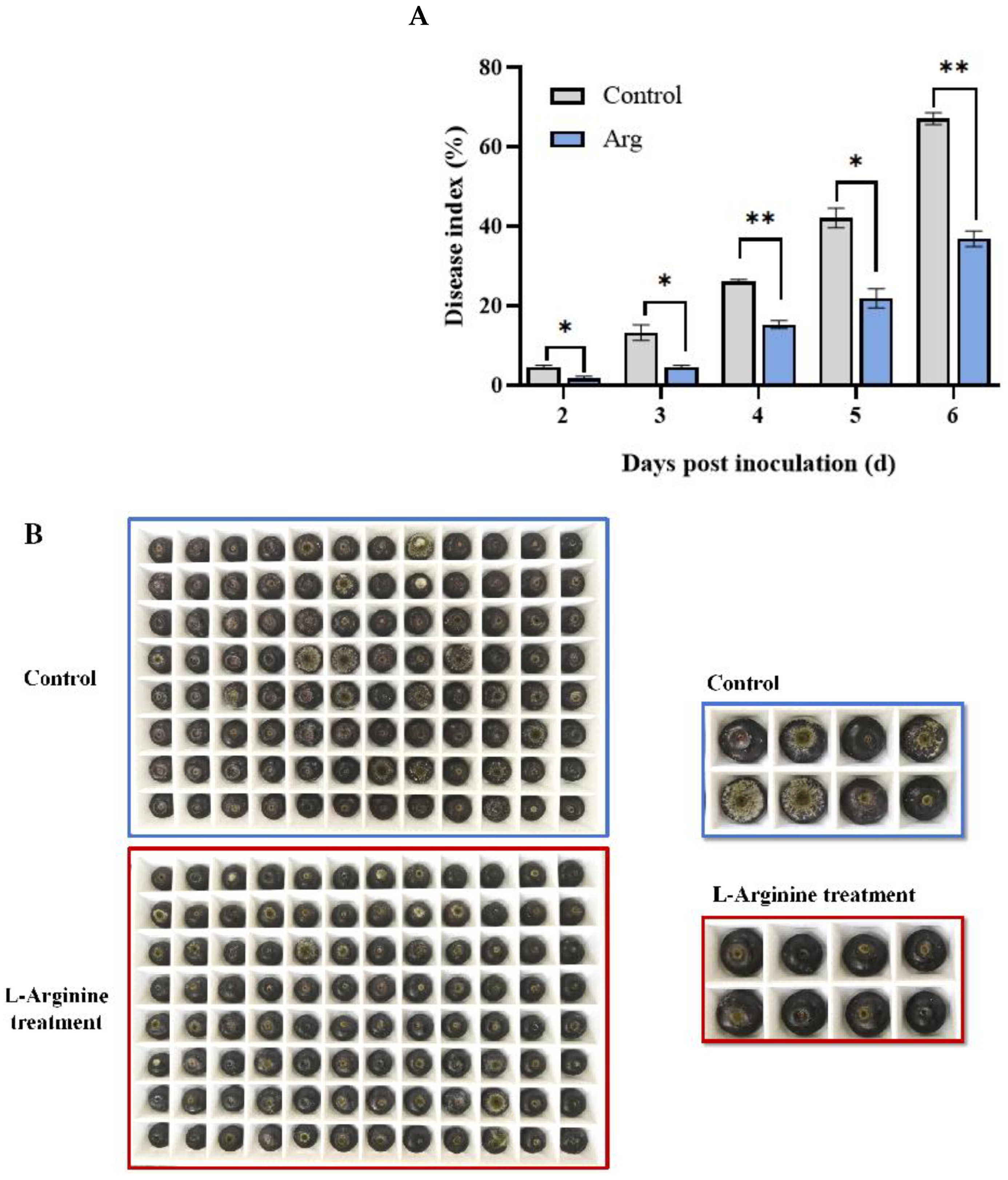 Plants 13 01058 g001