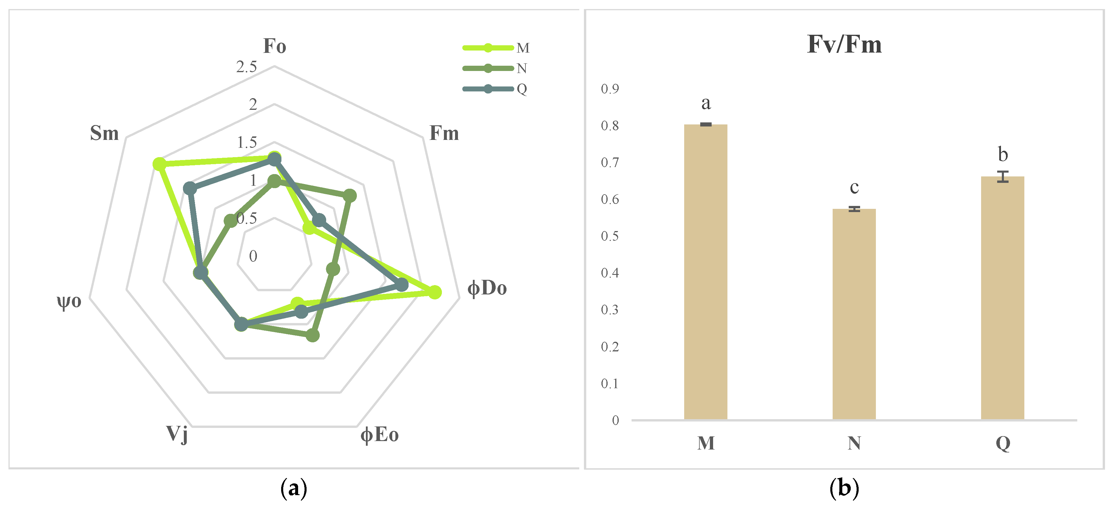 Plants 13 01062 g004a