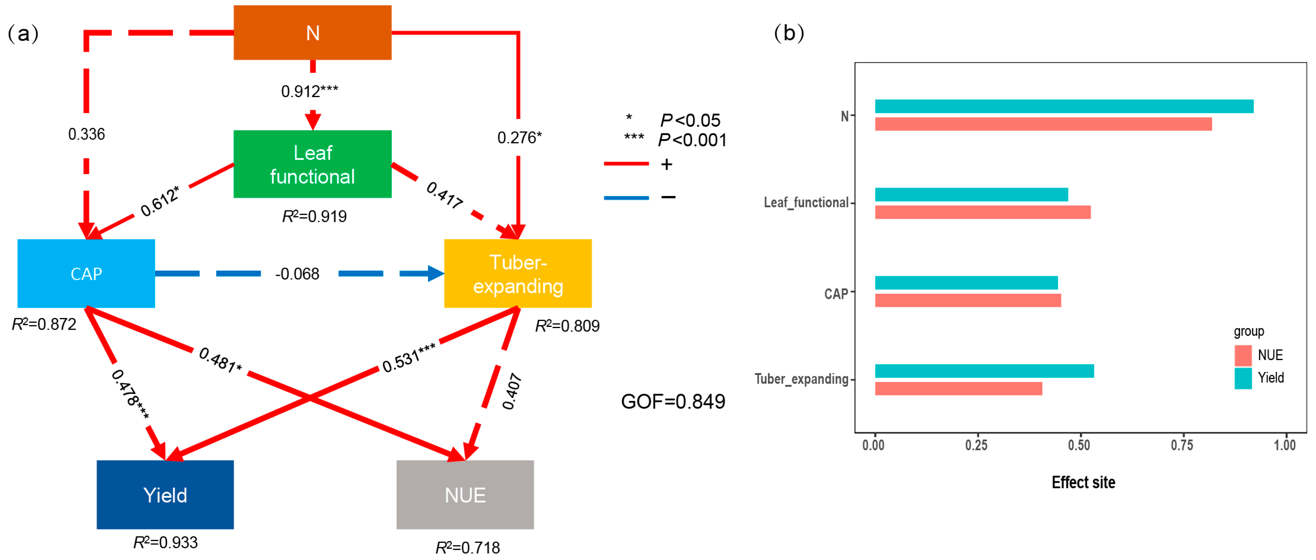 Plants 13 01063 g006
