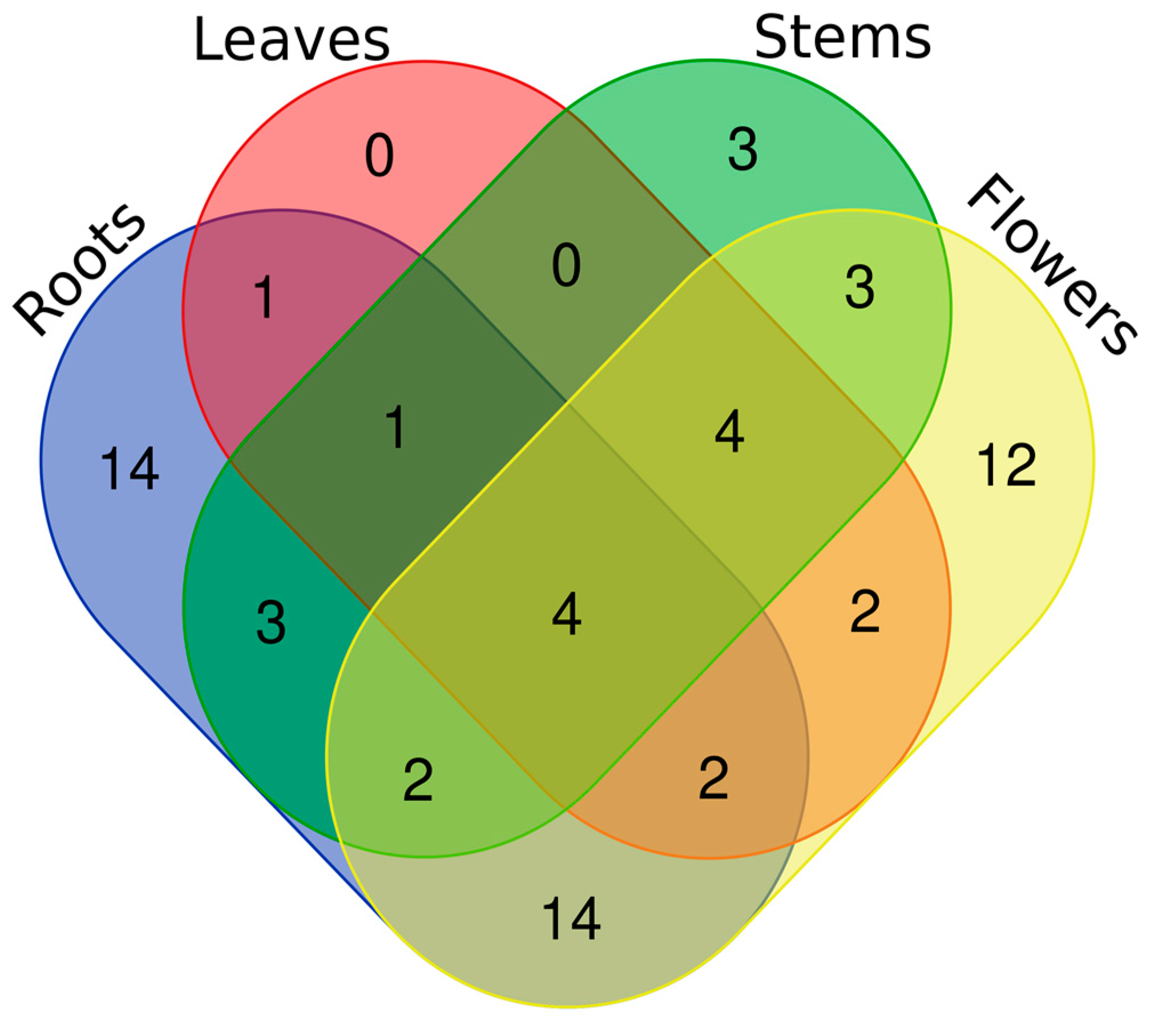 Plants 13 01064 g002
