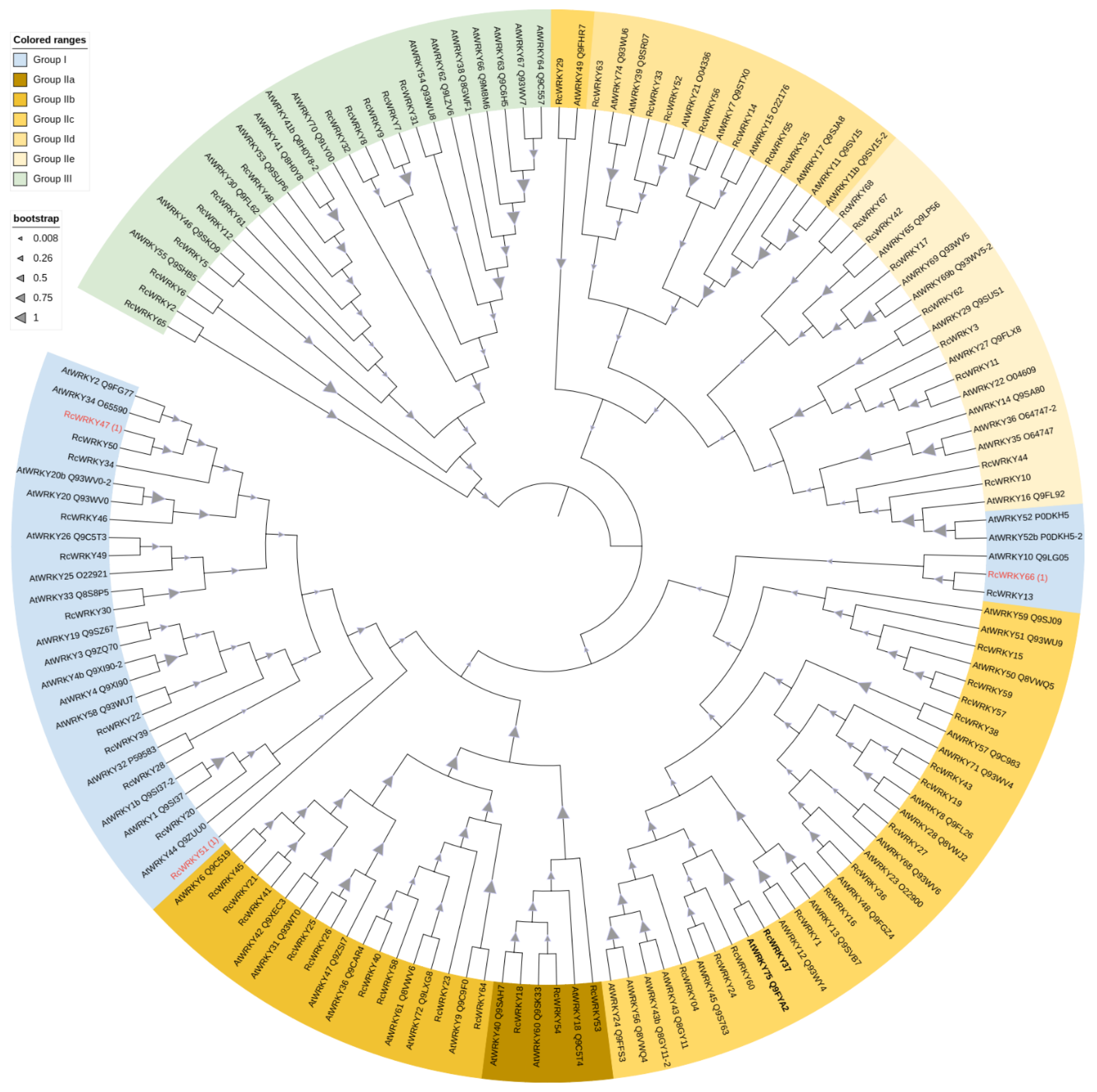 Plants 13 01066 g002