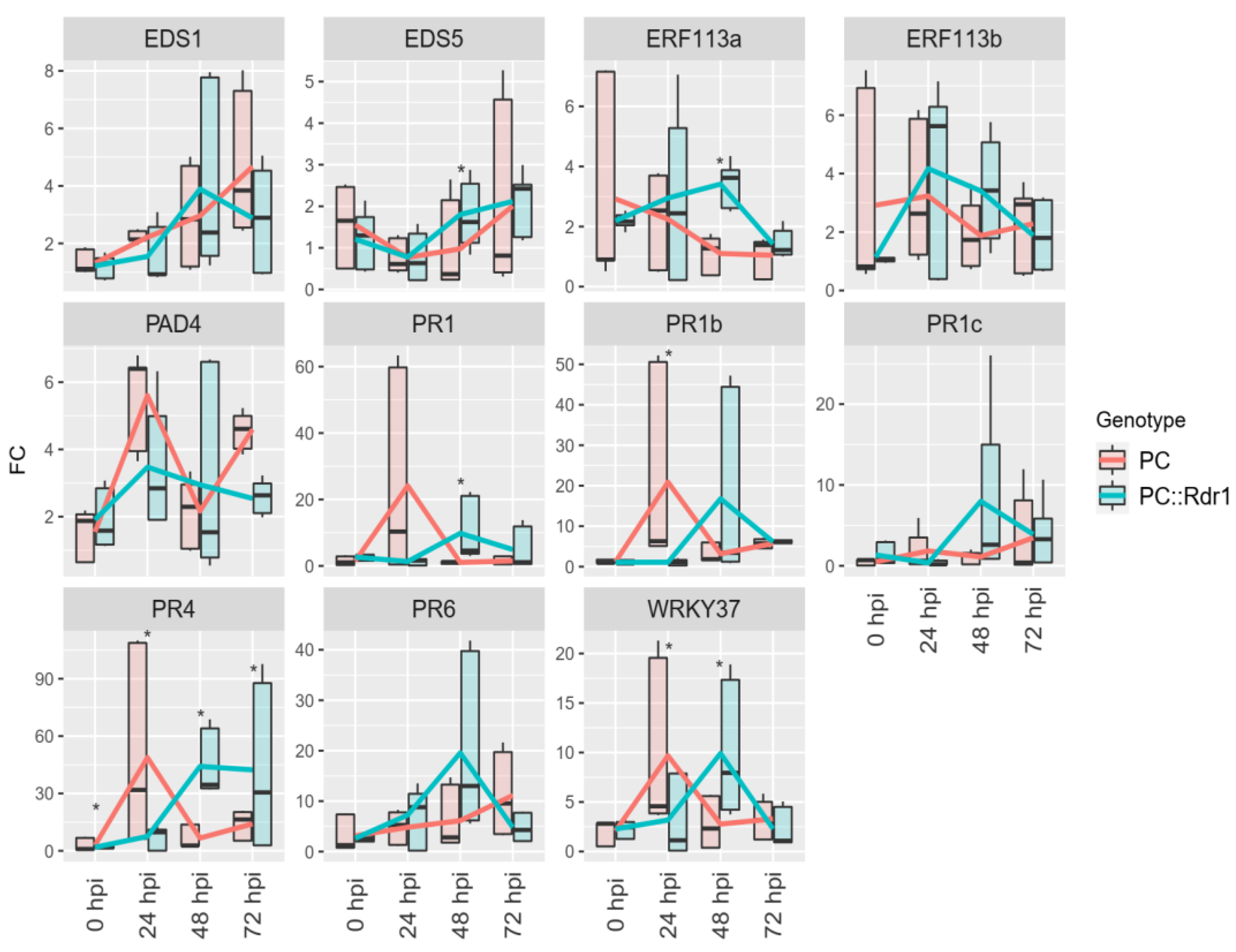 Plants 13 01066 g006
