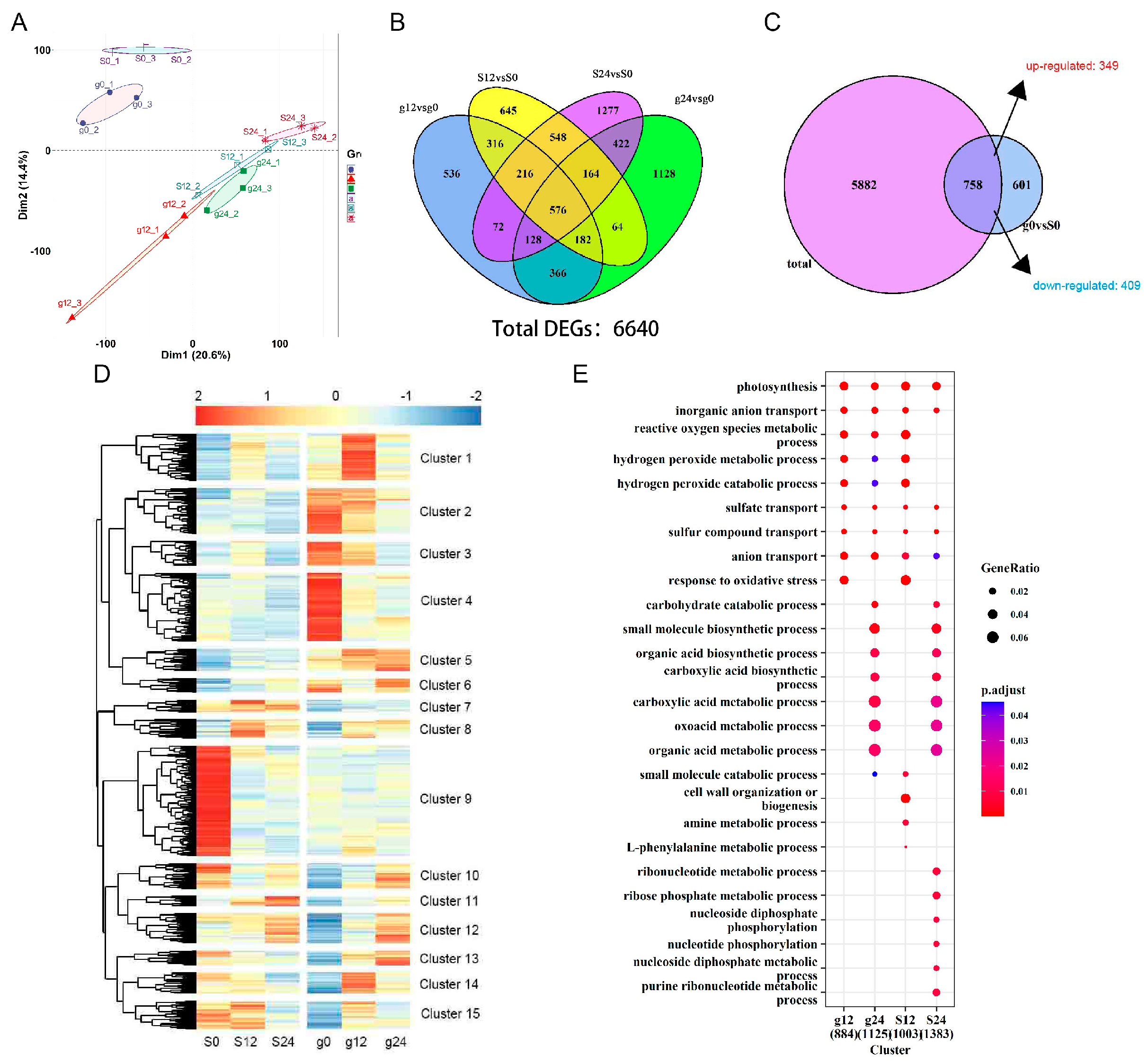 Plants 13 01073 g003