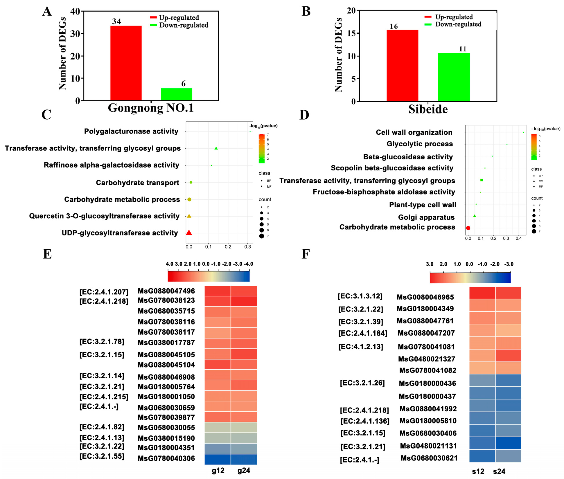 Plants 13 01073 g005