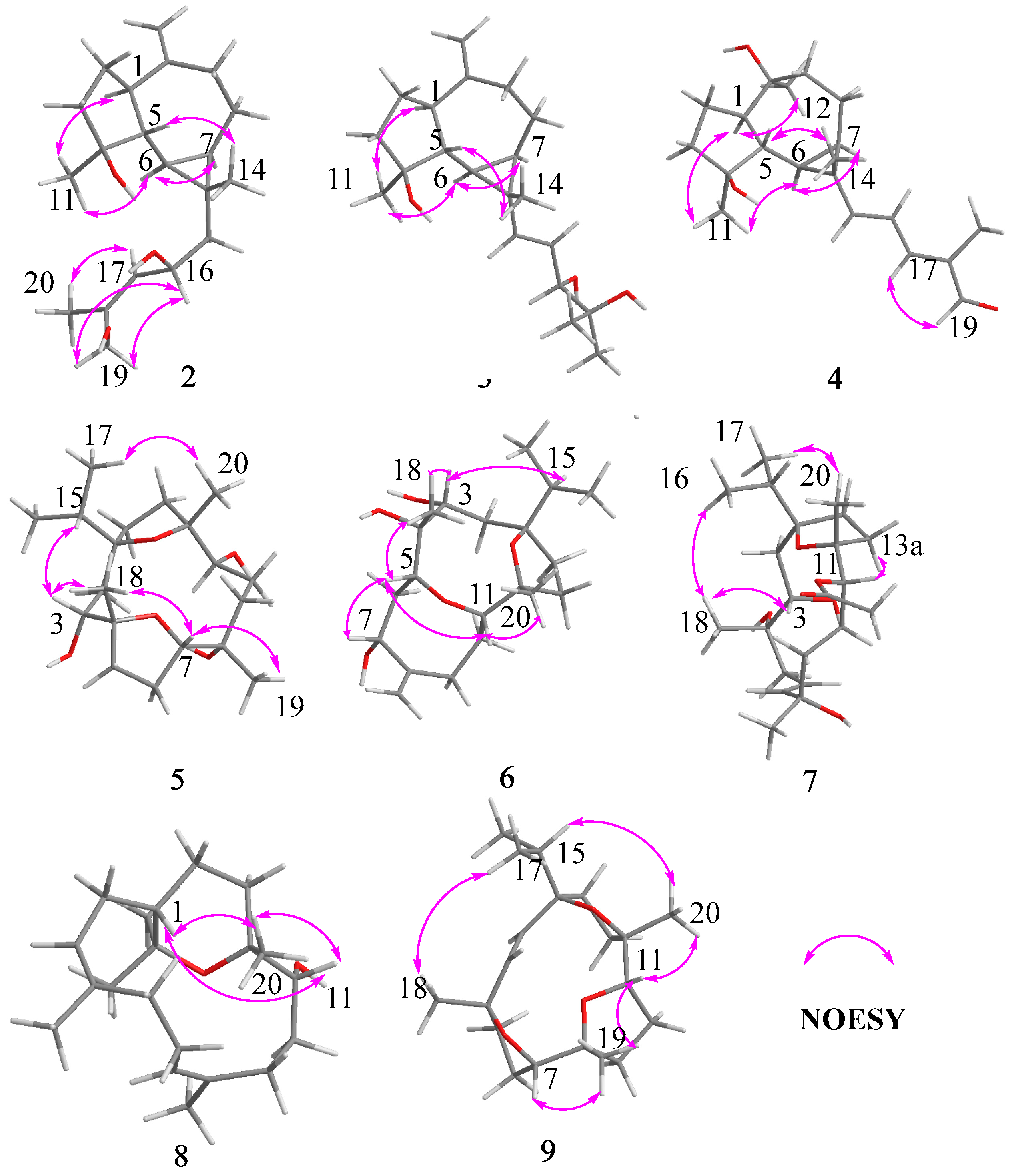 Plants 13 01074 g005
