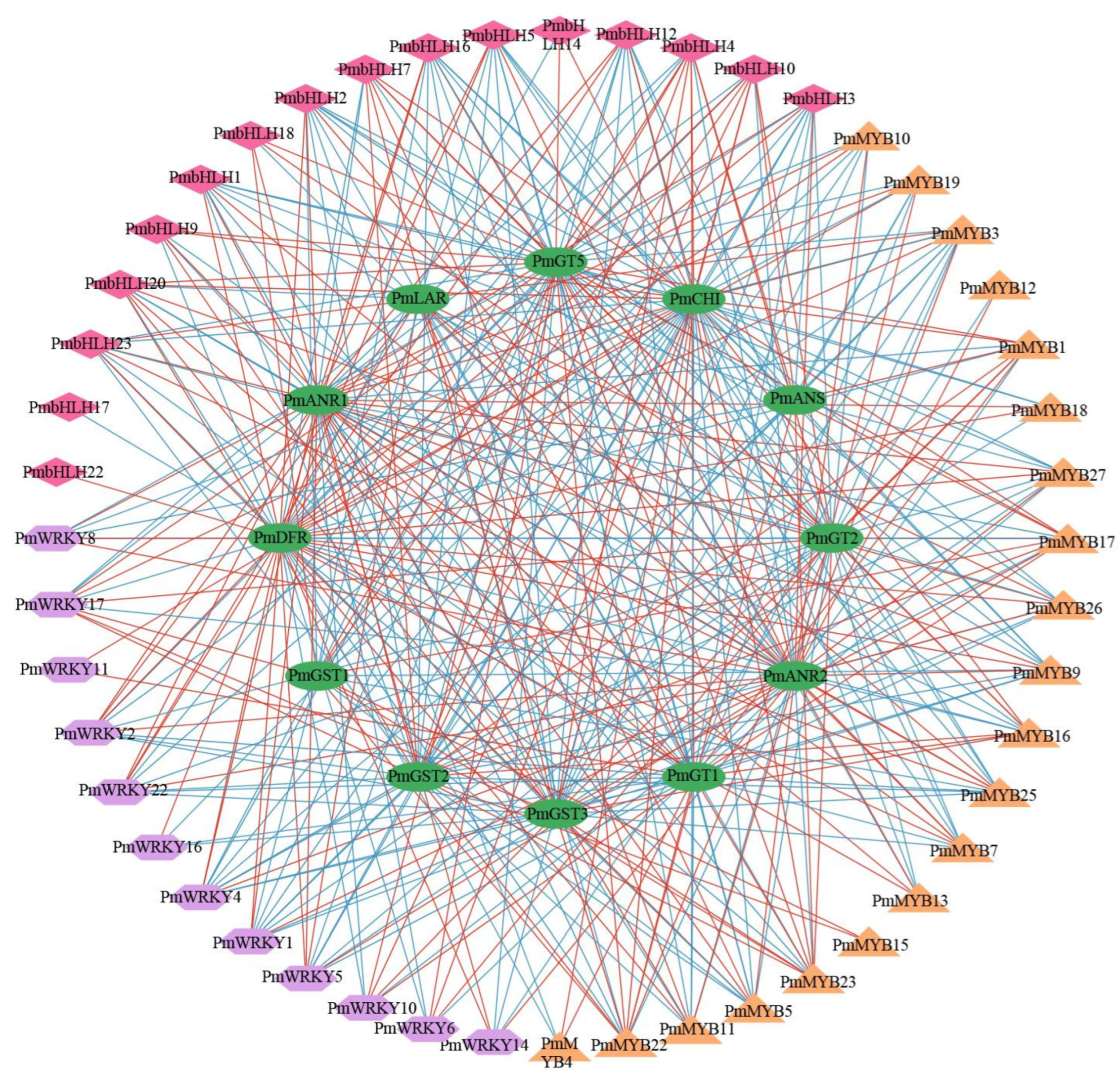 Plants 13 01077 g004