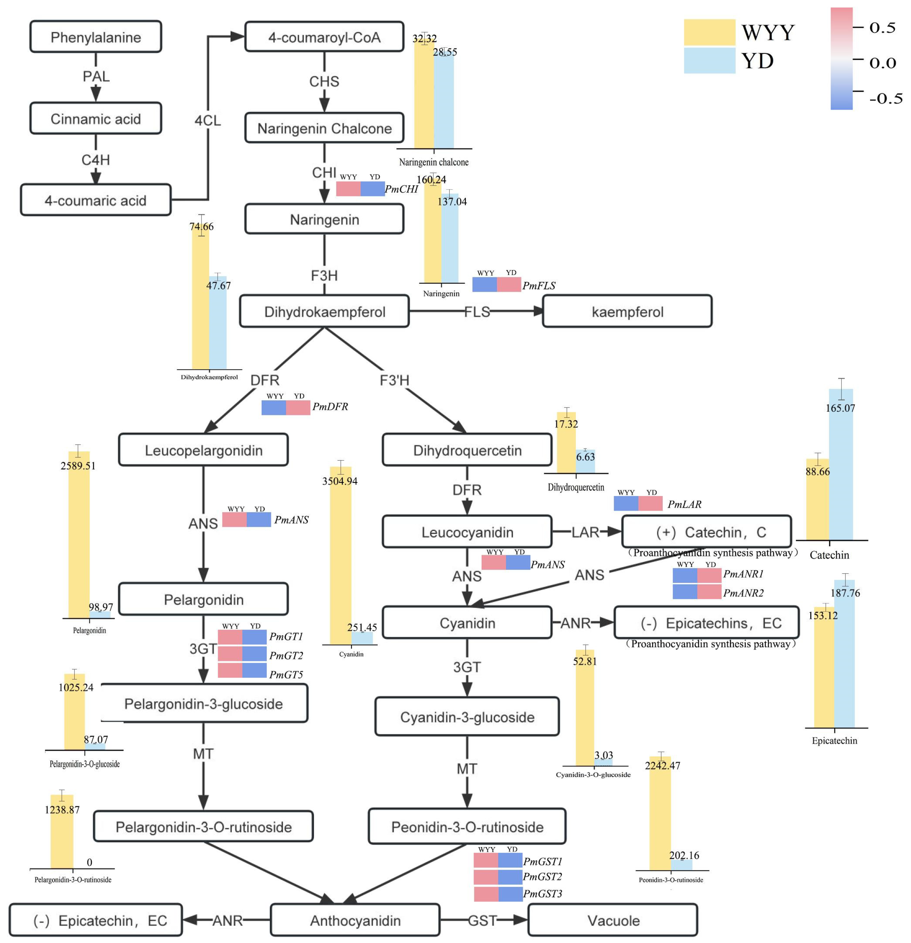 Plants 13 01077 g006
