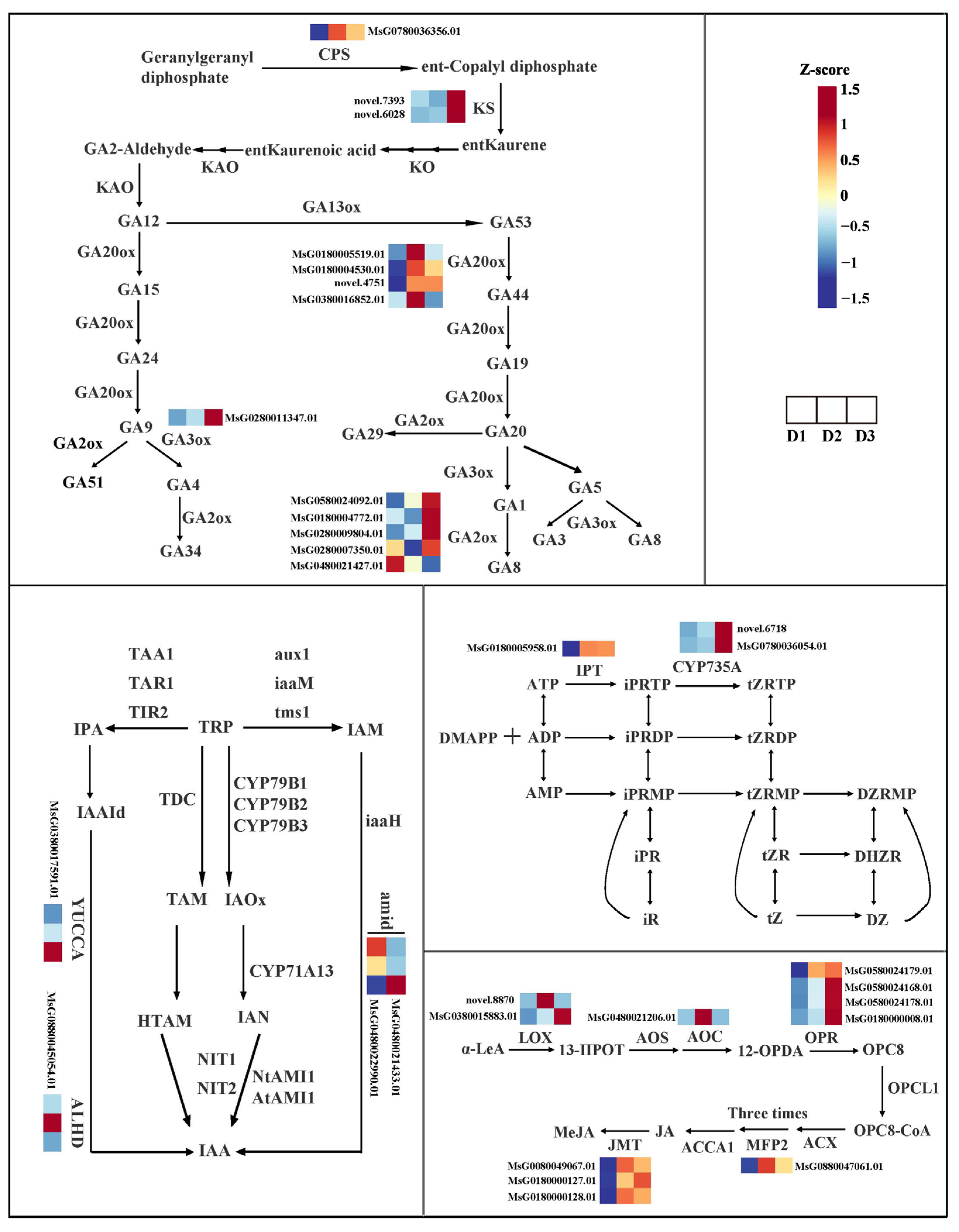 Plants 13 01078 g005