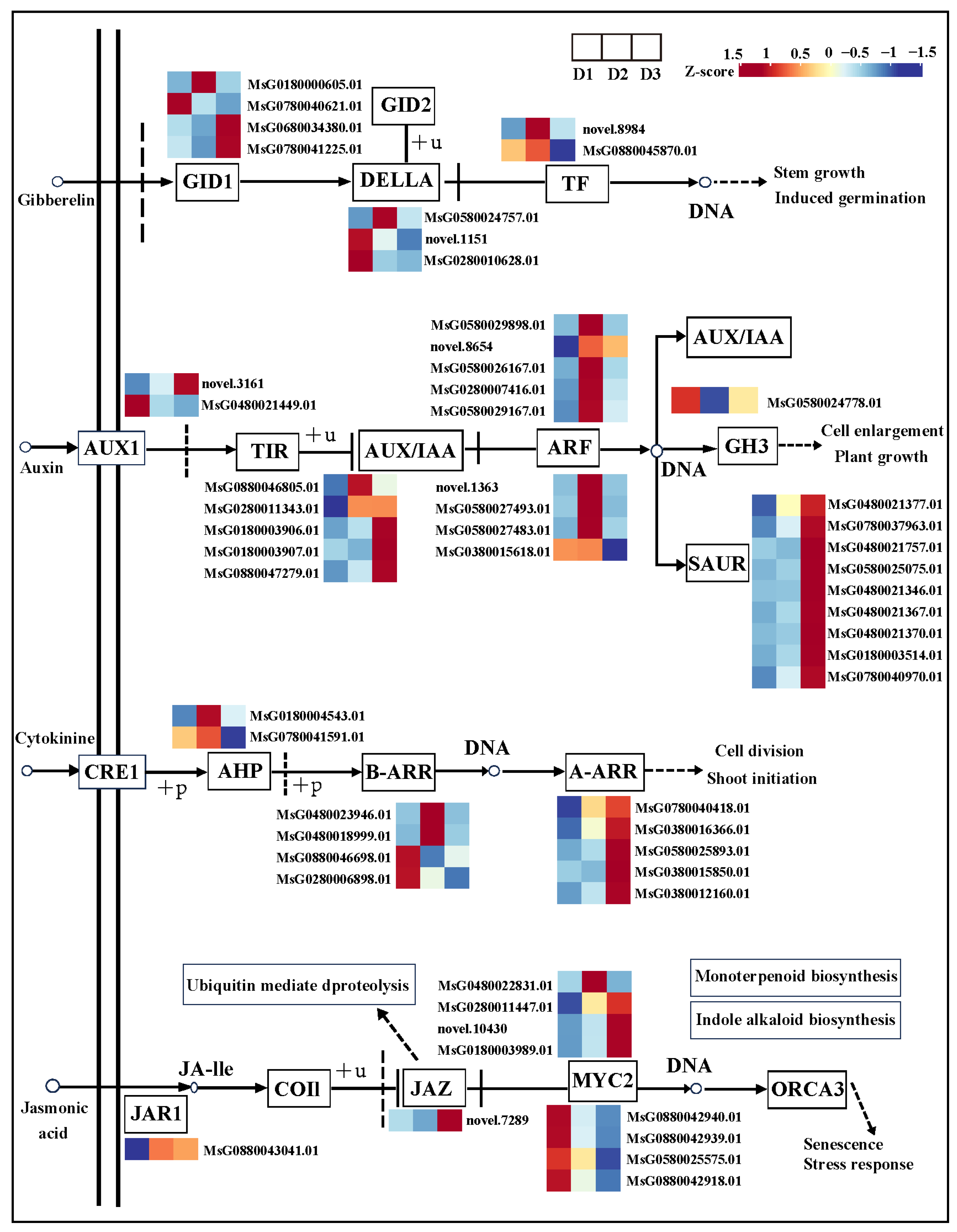 Plants 13 01078 g006