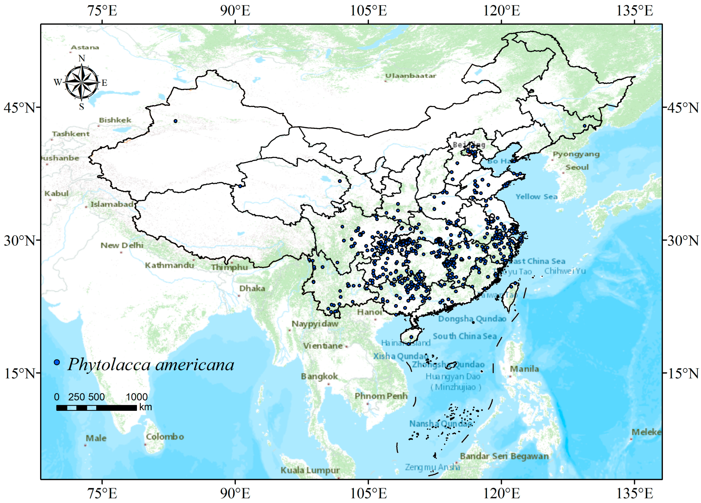 Plants 13 01082 g001