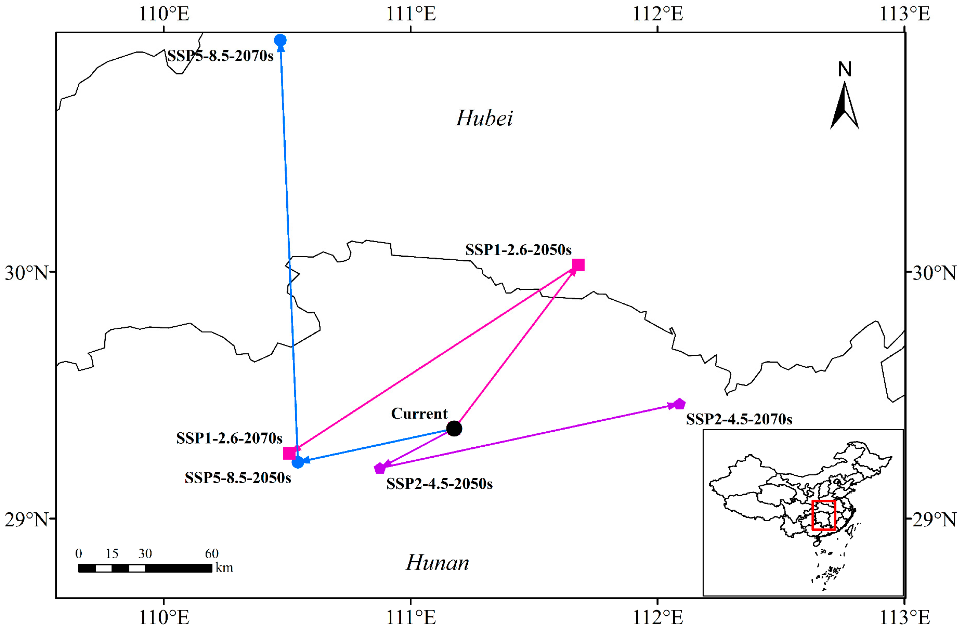 Plants 13 01082 g005