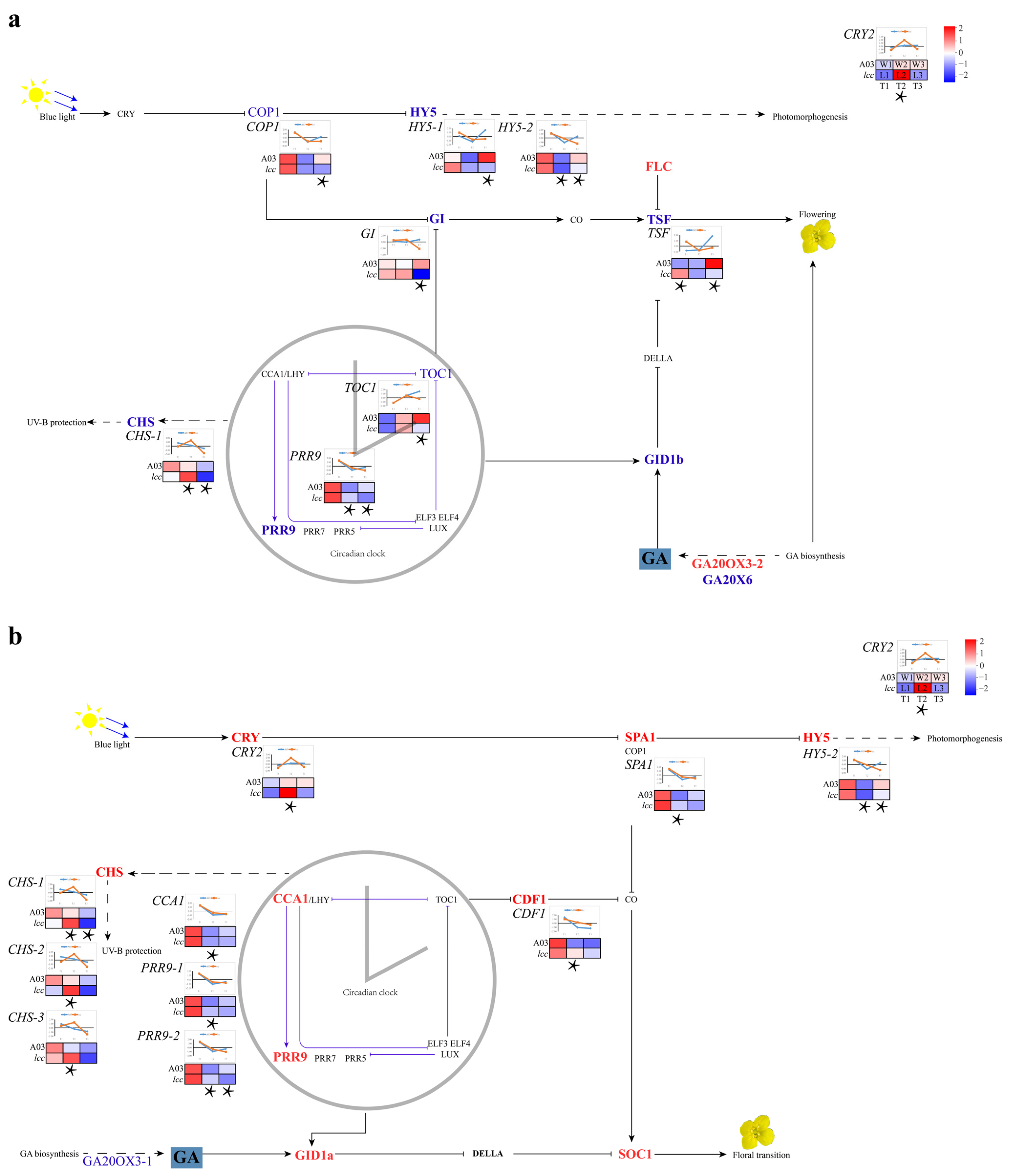 Plants 13 01083 g002